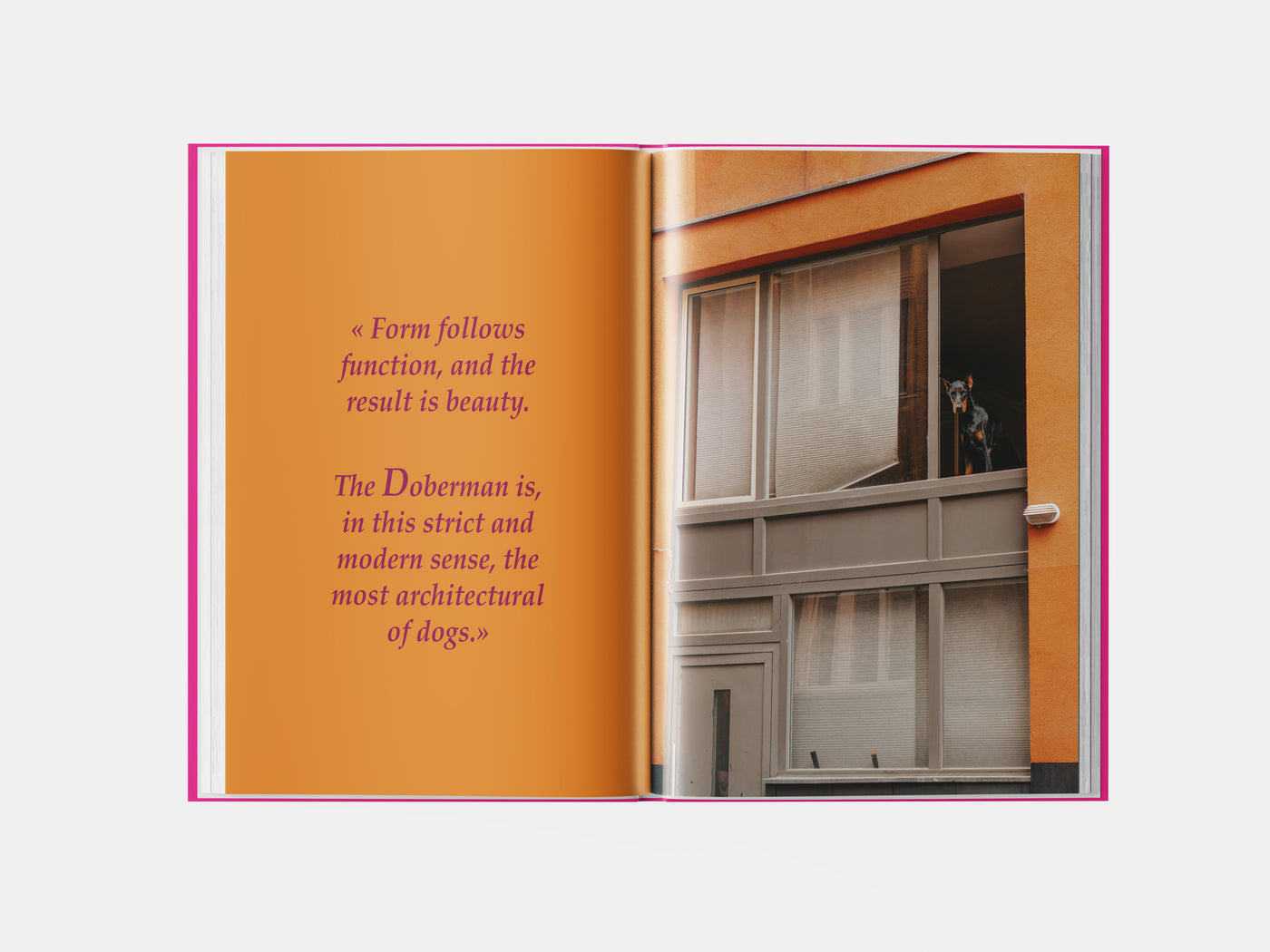 Book preview page 2