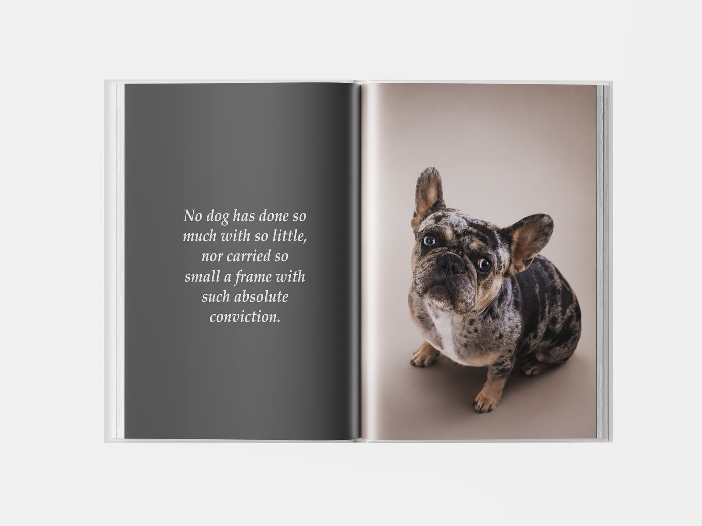 Book preview page 3