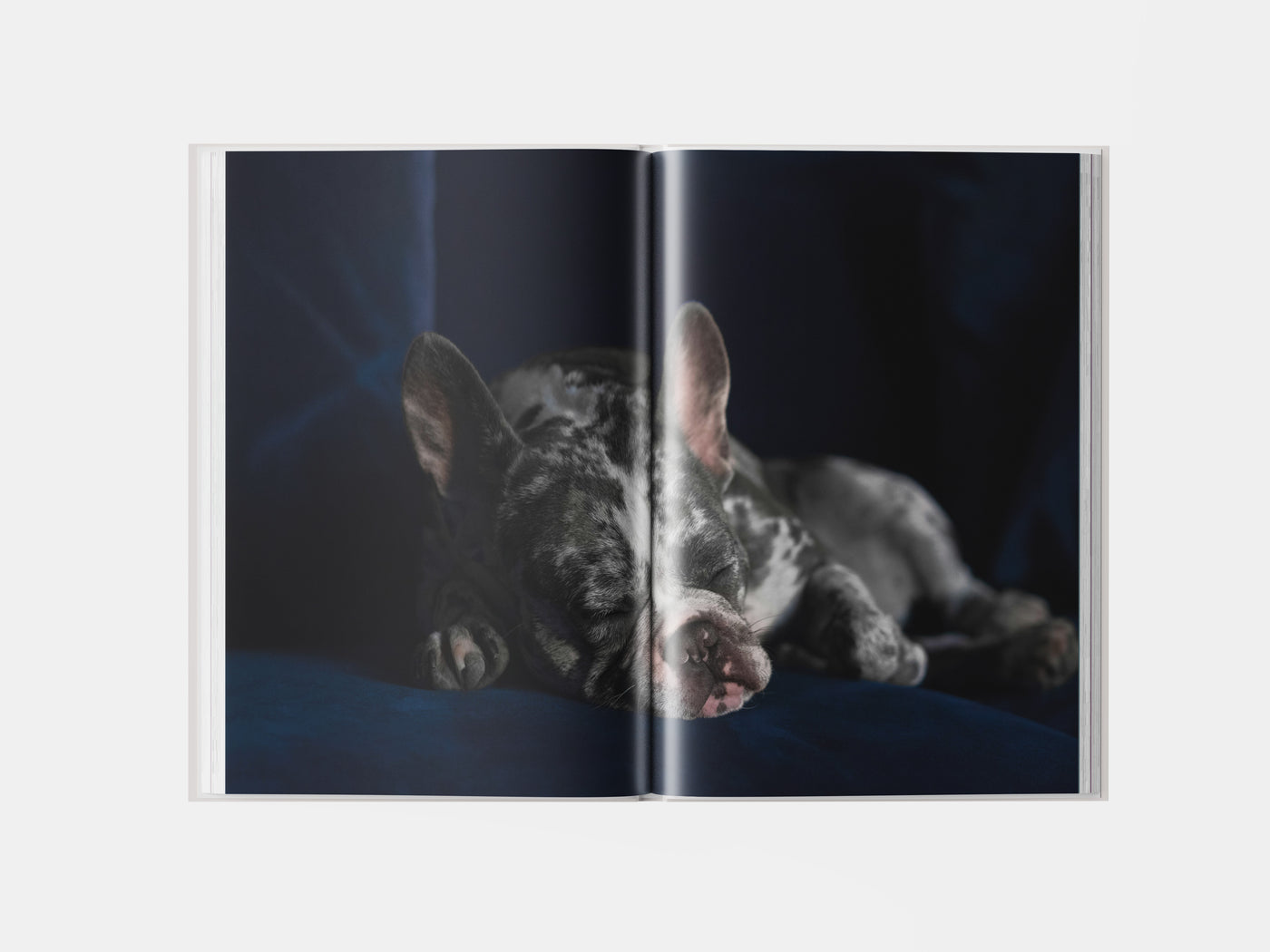 Book preview page 1
