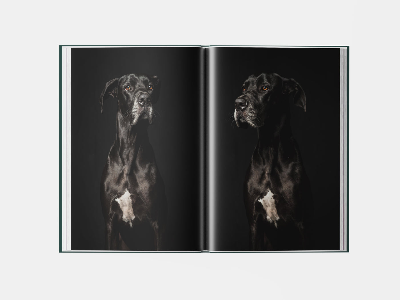 Book preview page 3