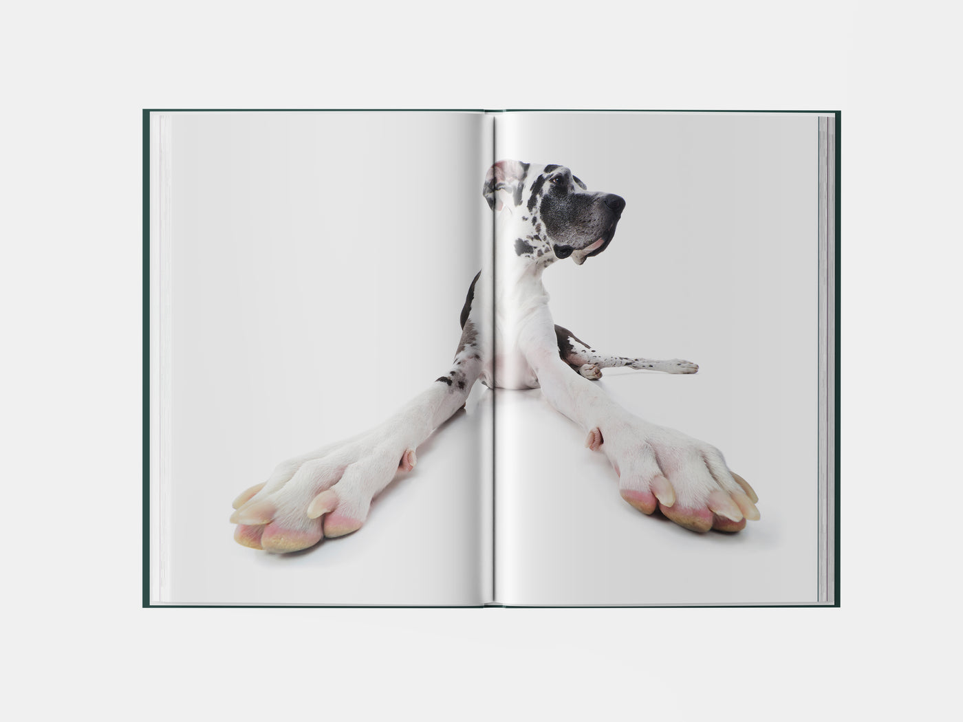 Book preview page 2
