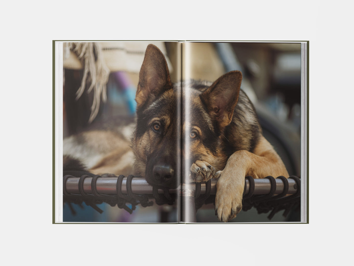 Book preview page 1