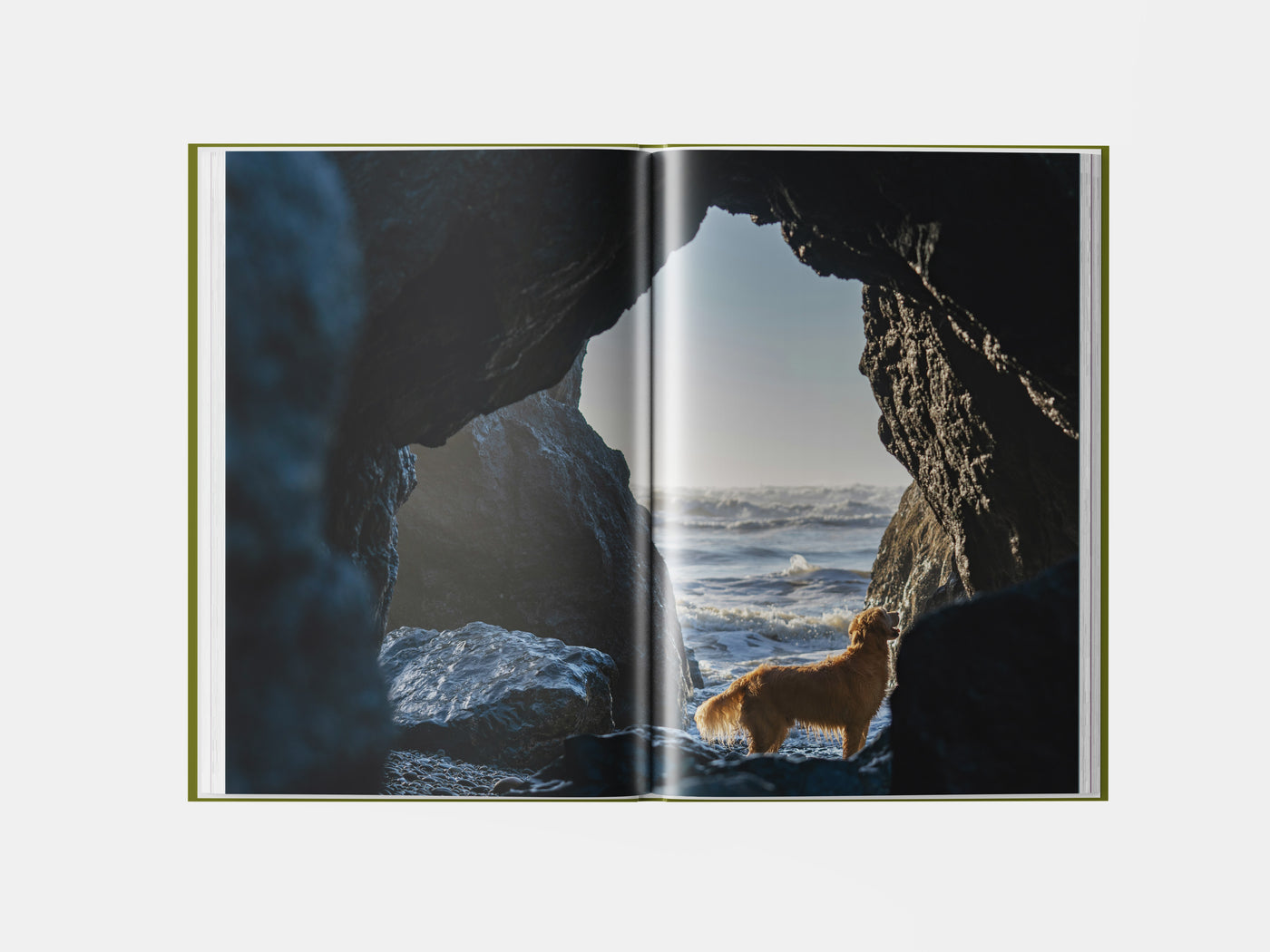 Book preview page 1