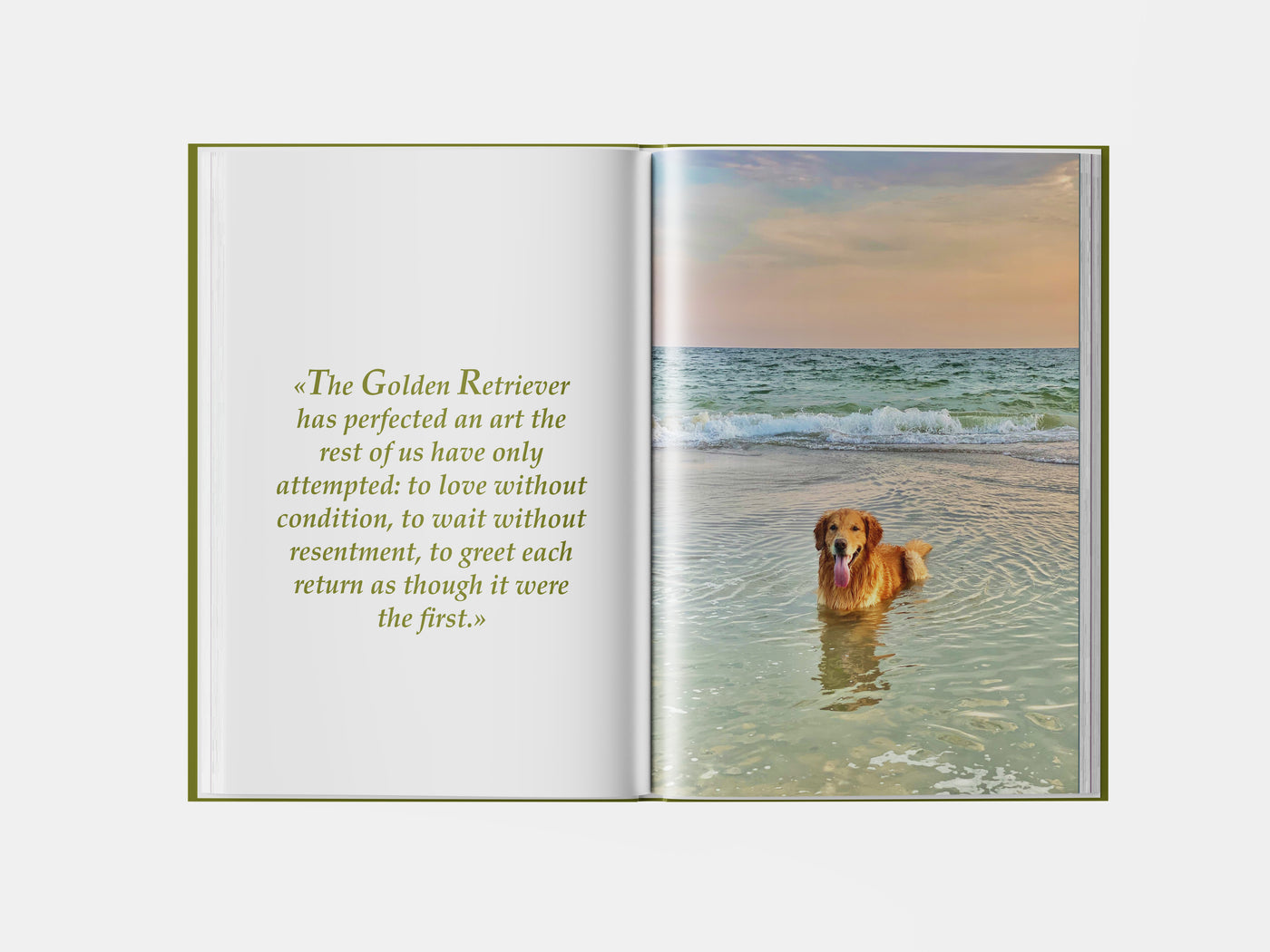 Book preview page 2
