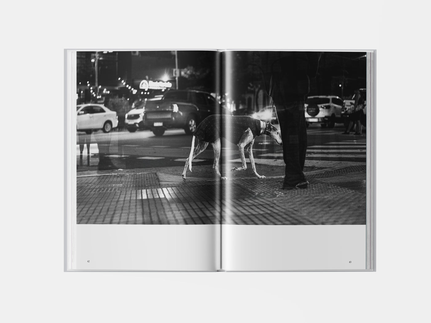 Book preview page 2