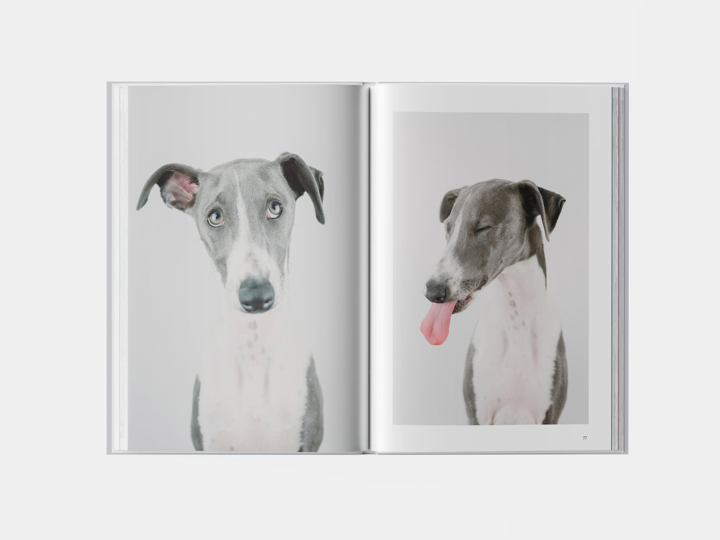 Book preview page 3