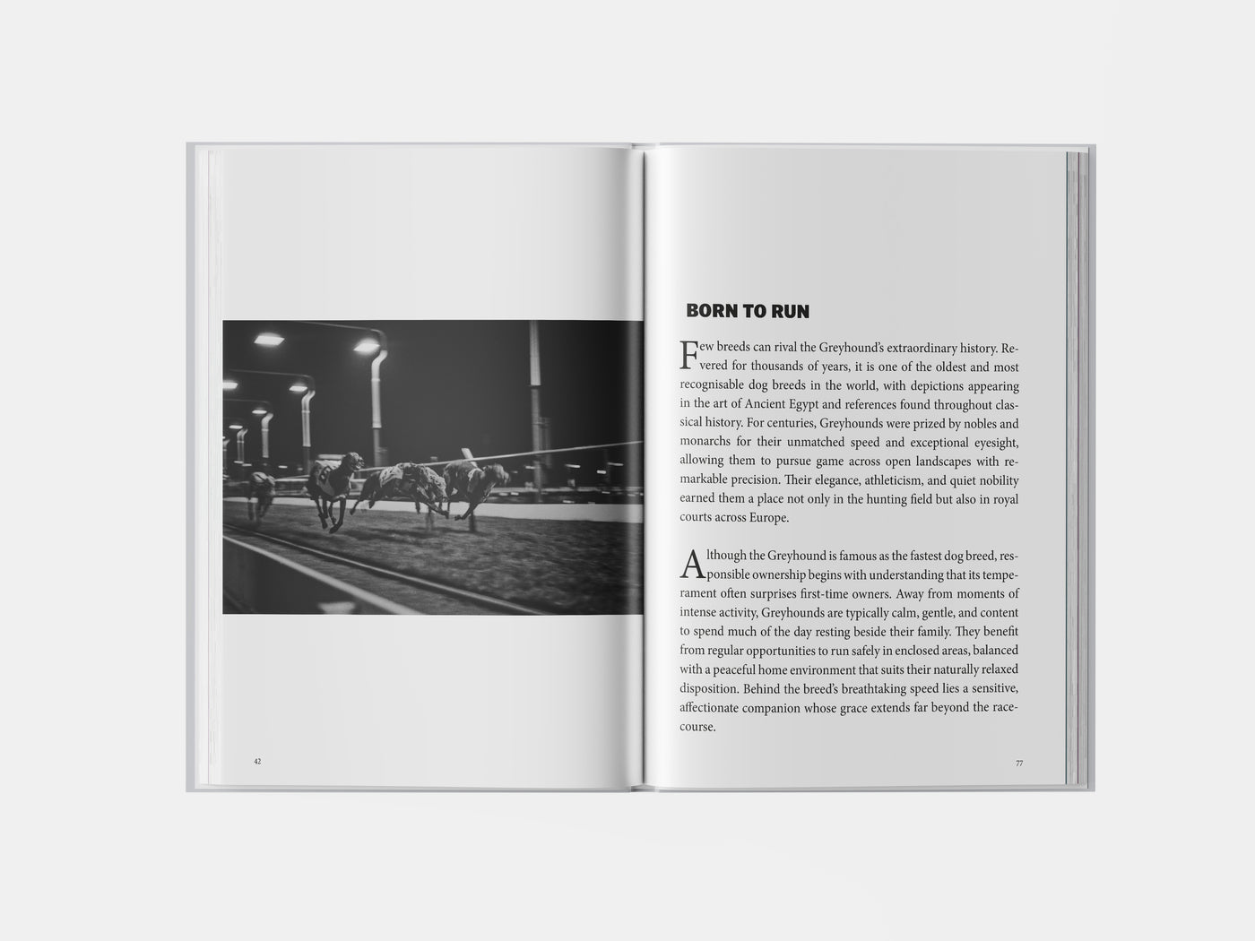 Book preview page 1