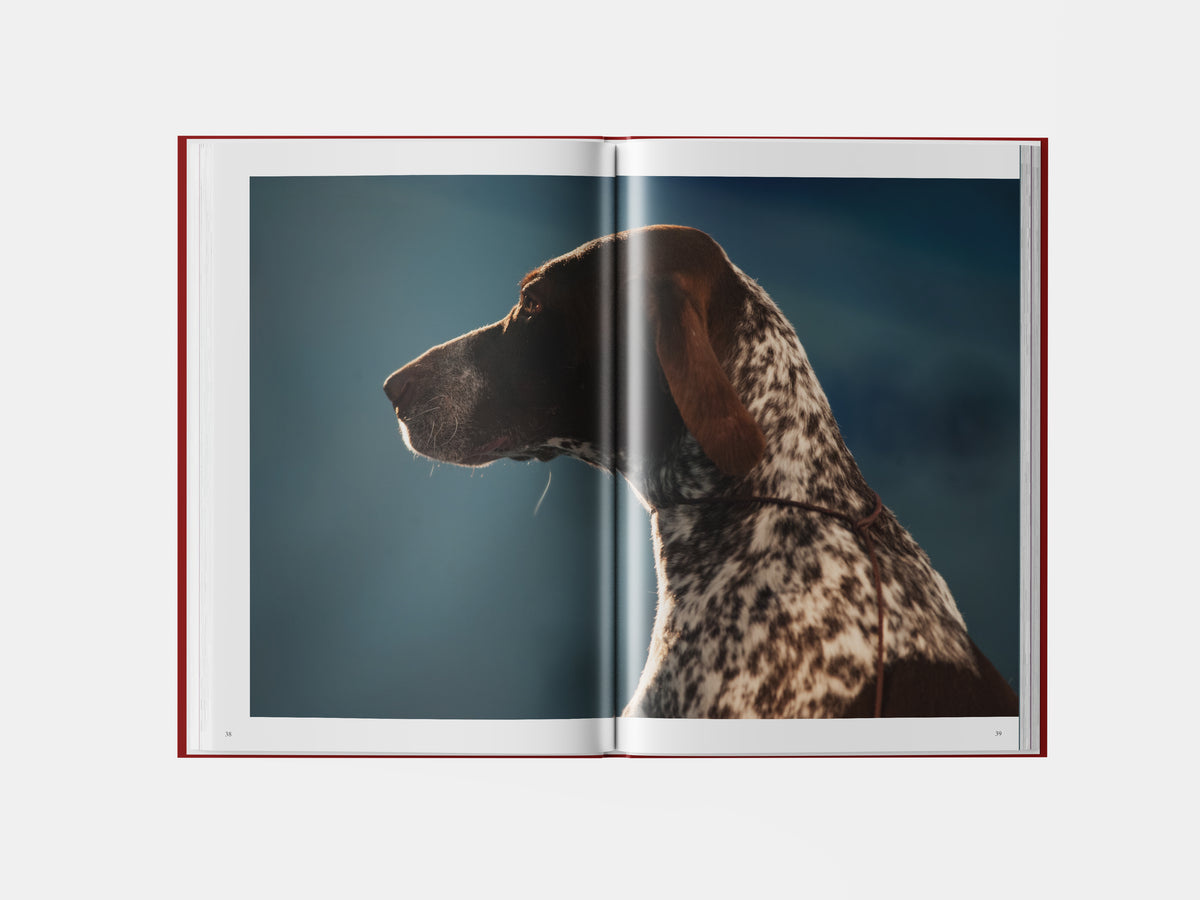 Book preview page 1