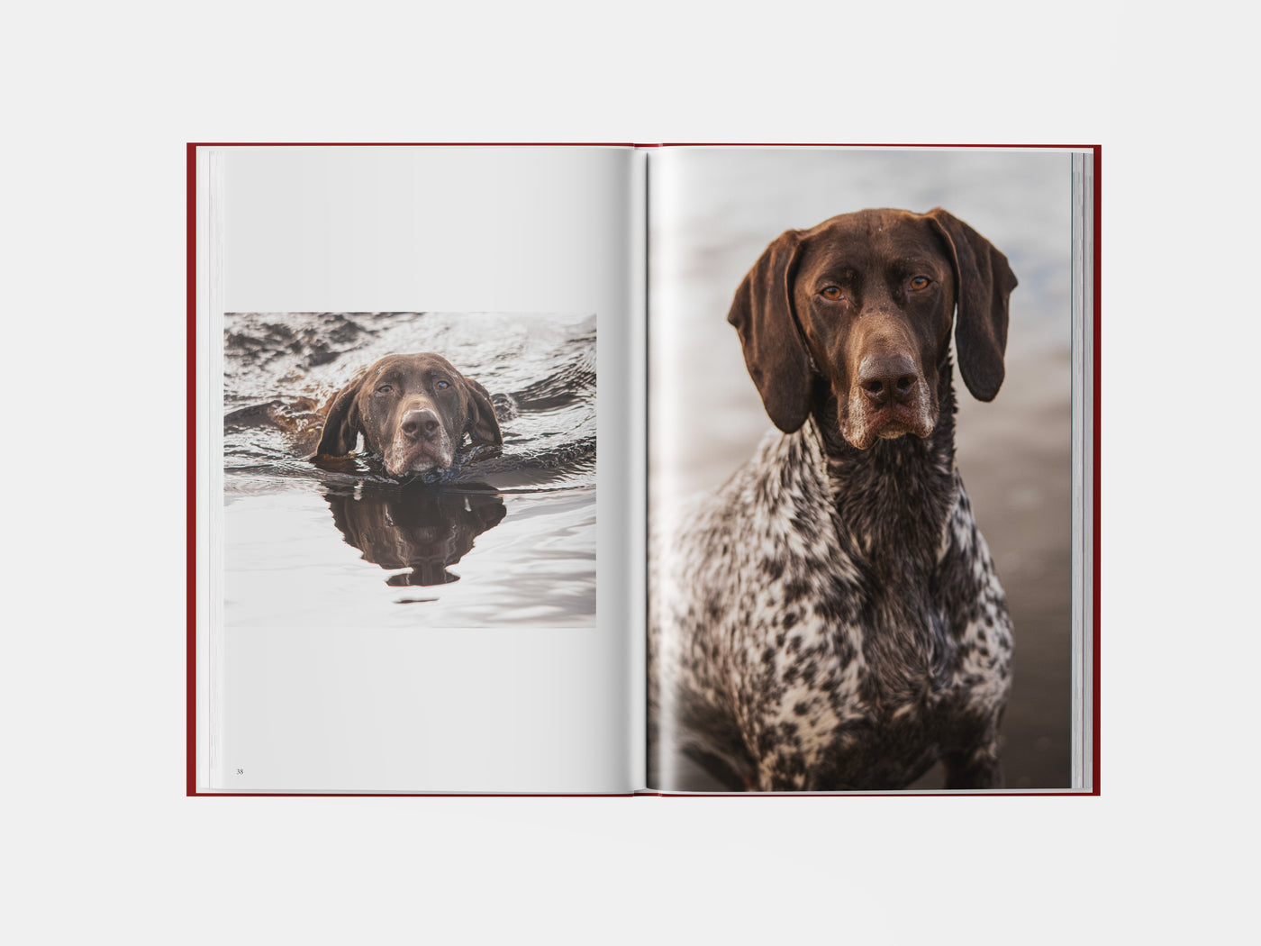 Book preview page 2