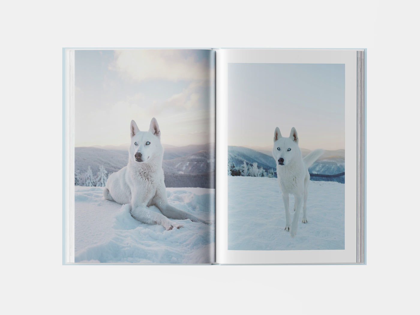 Book preview page 2