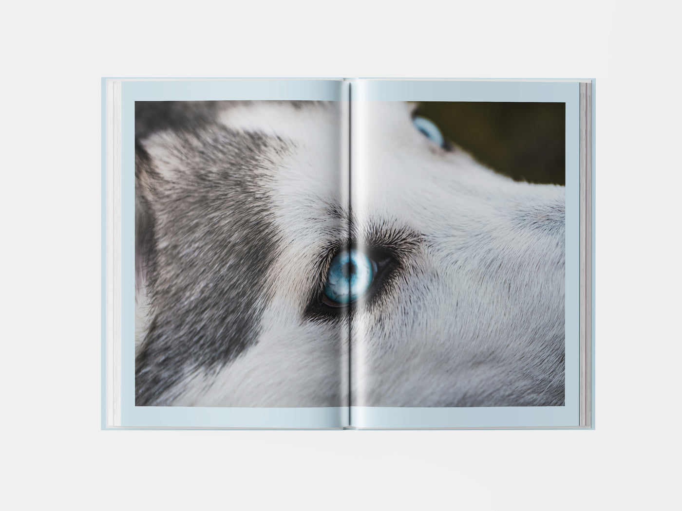 Book preview page 3