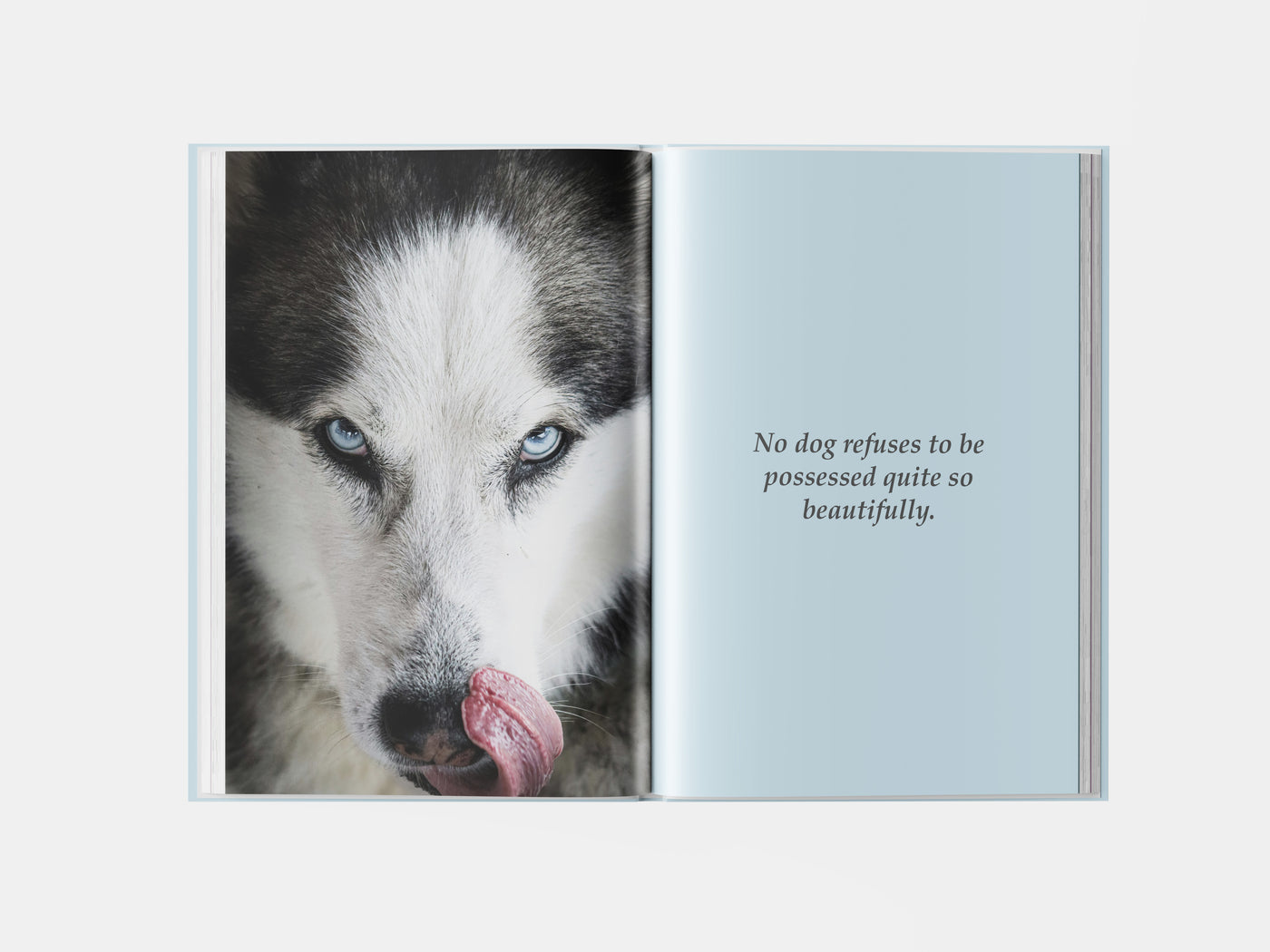 Book preview page 1