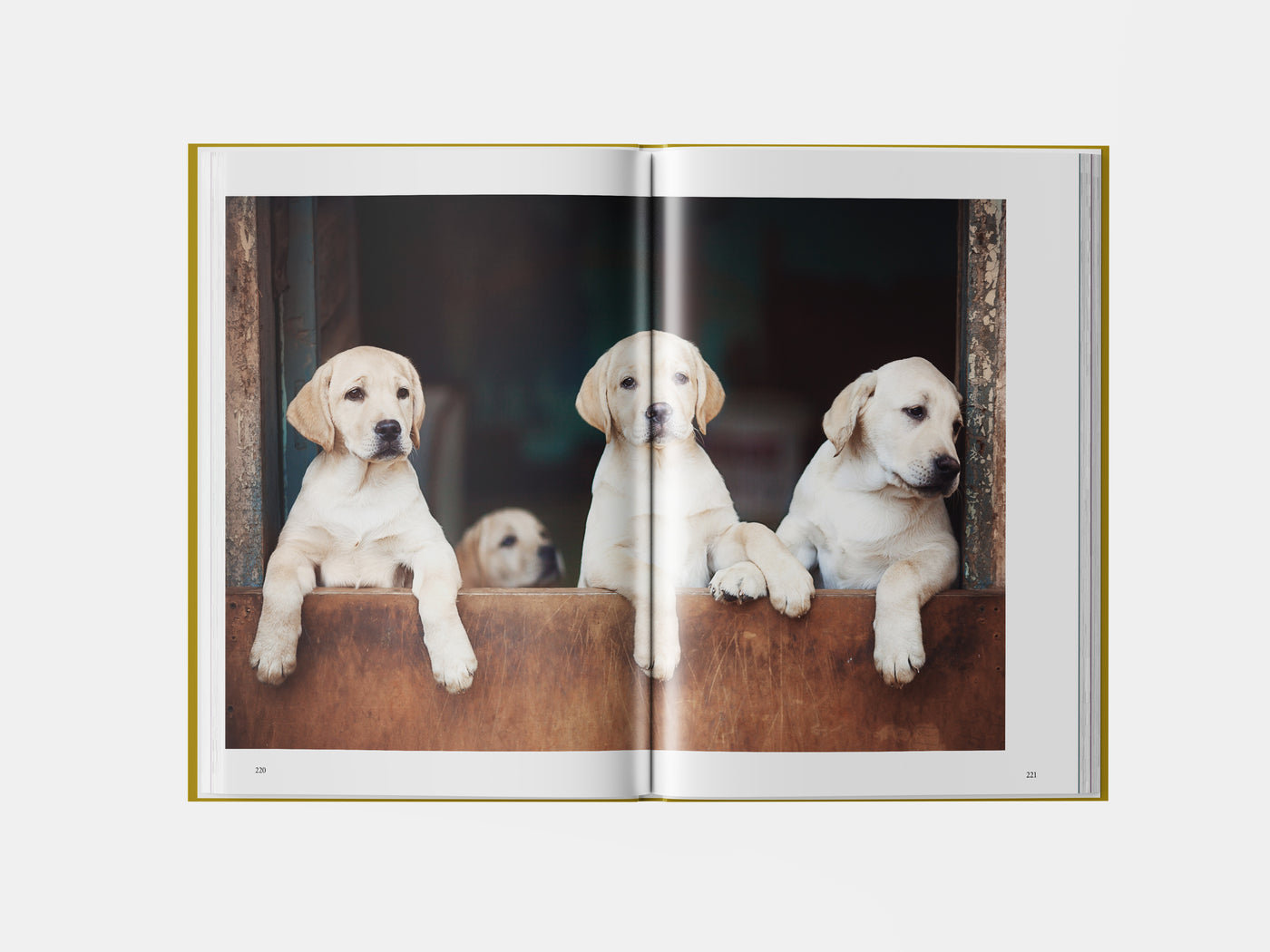 Book preview page 2
