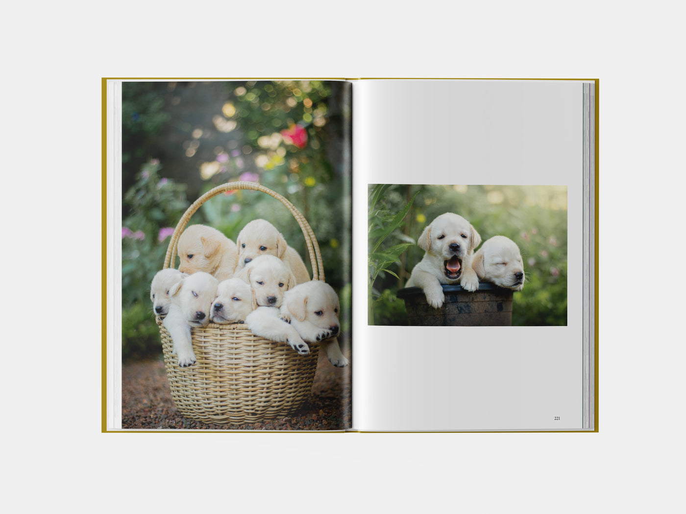 Book preview page 3