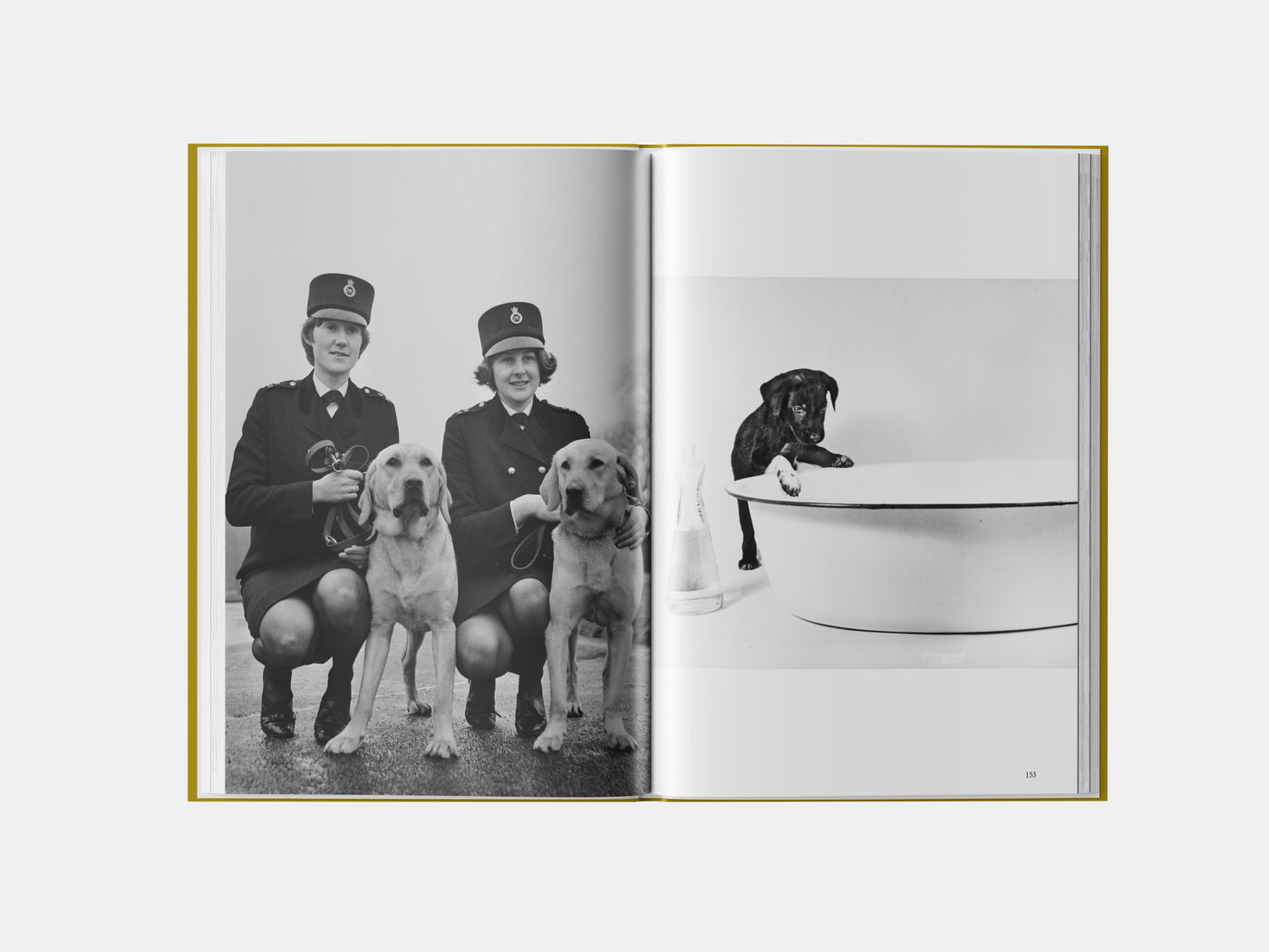 Book preview page 1