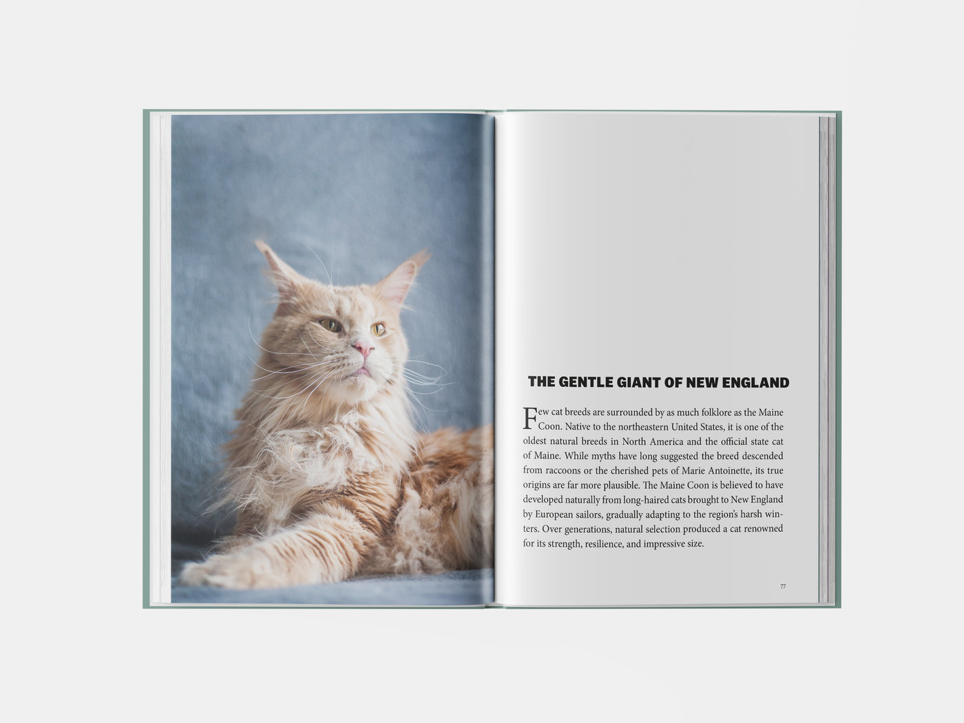 Book preview page 1