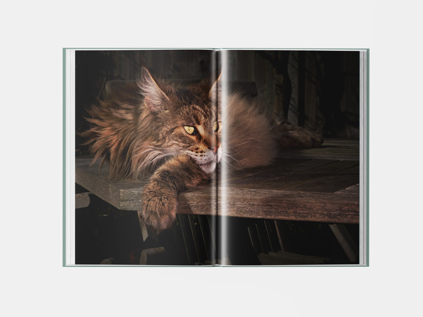 Book preview page 2