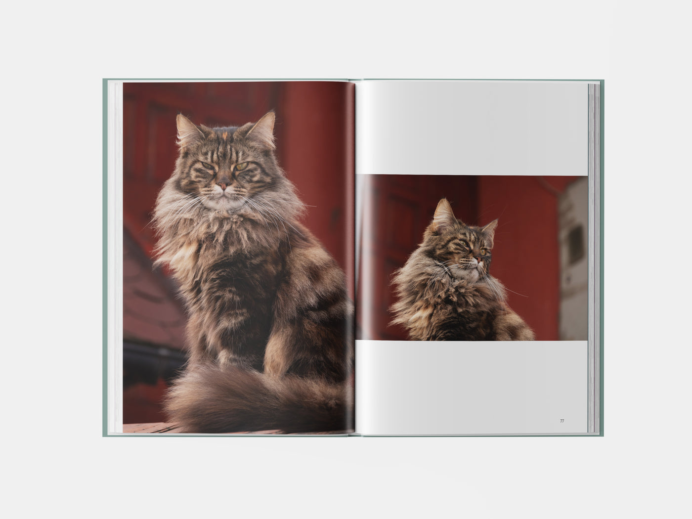 Book preview page 3