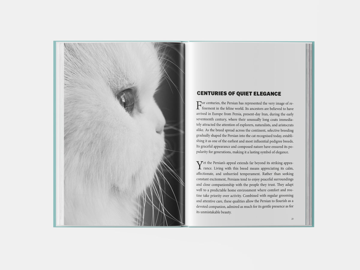 Book preview page 1