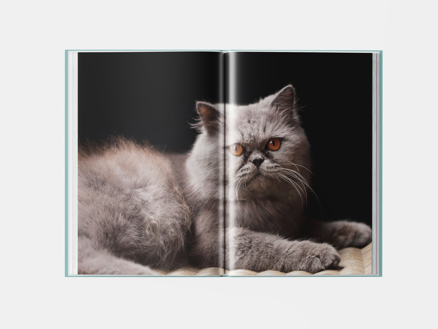 Book preview page 2