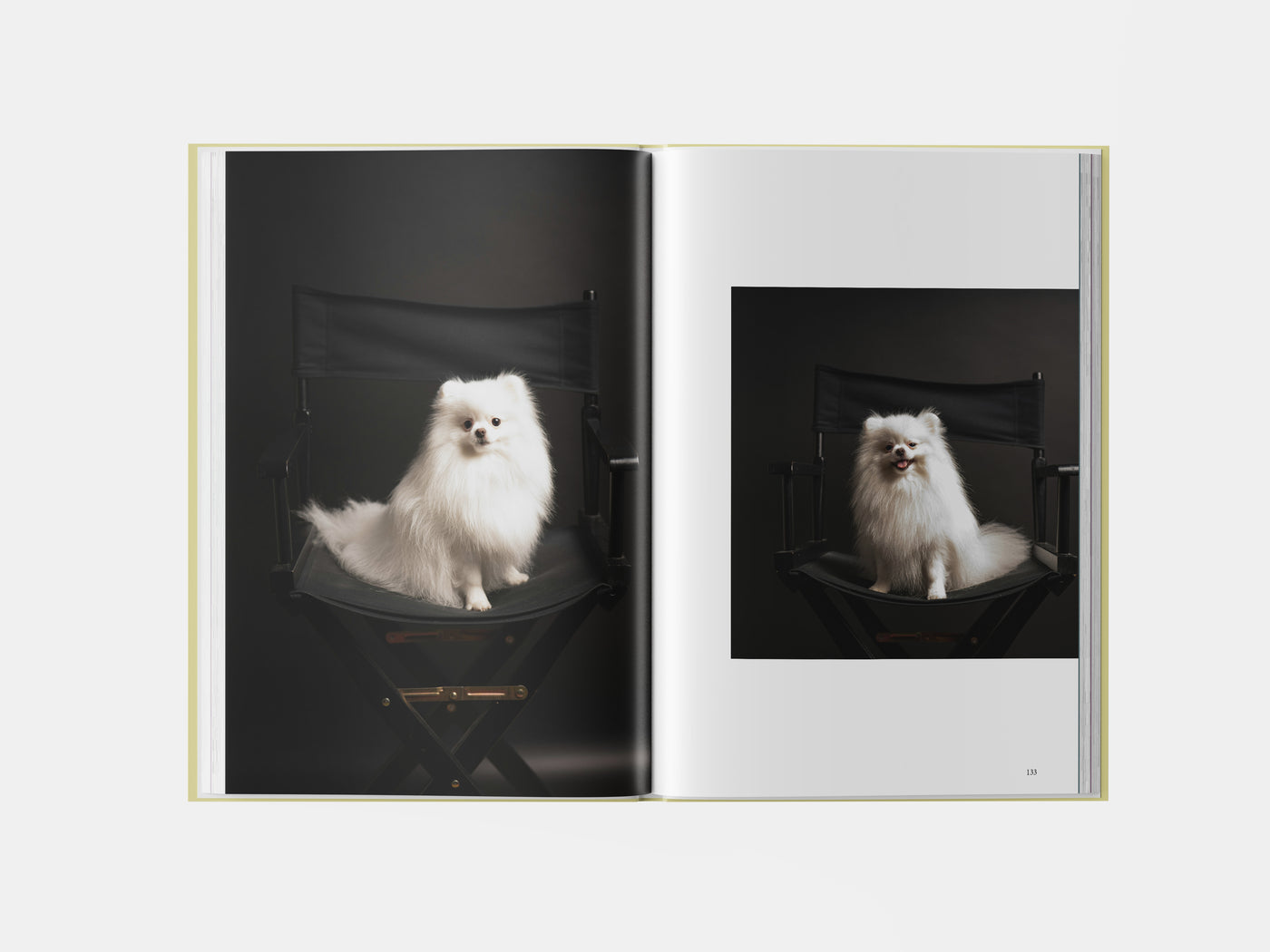 Book preview page 3