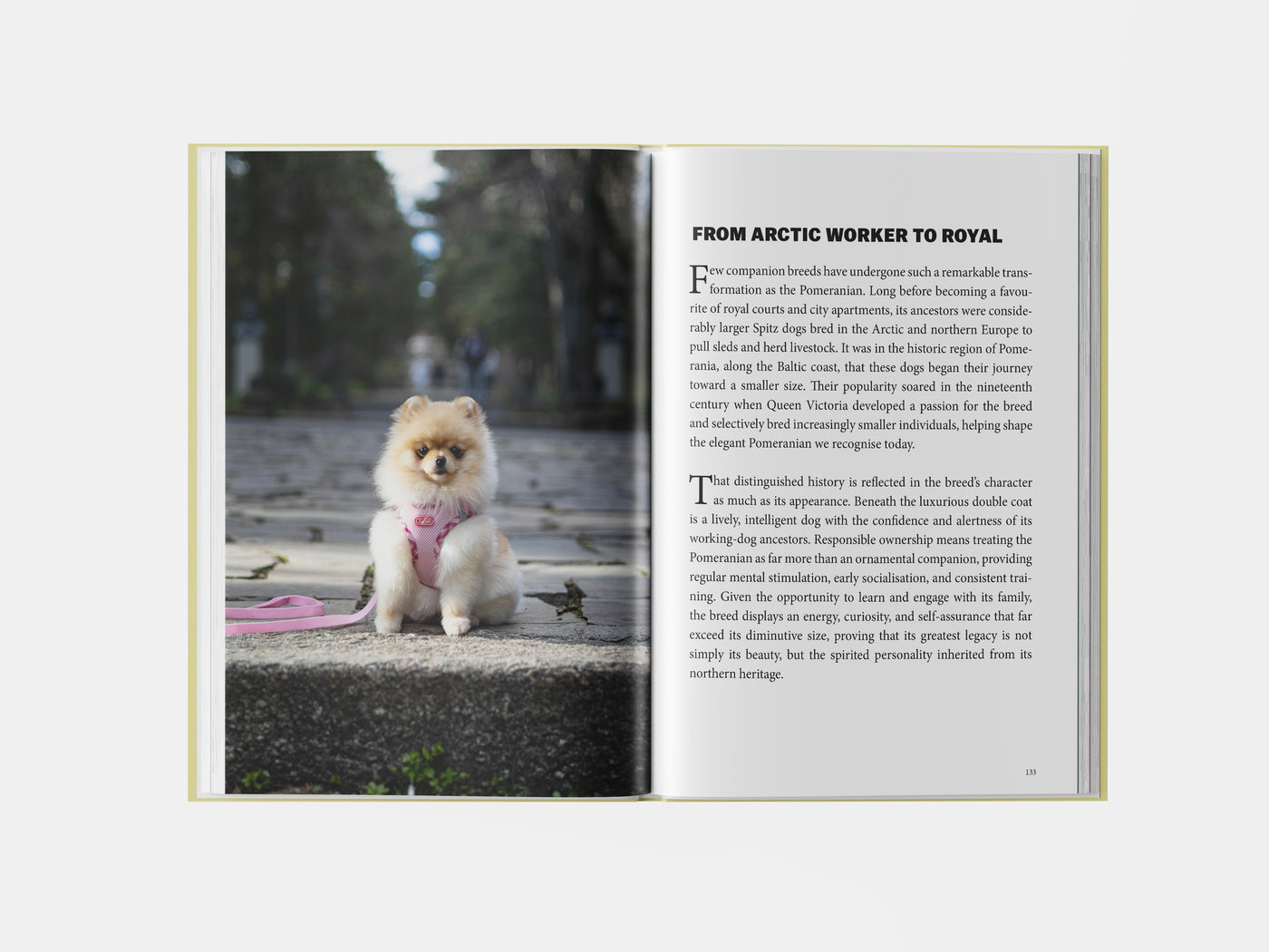 Book preview page 1