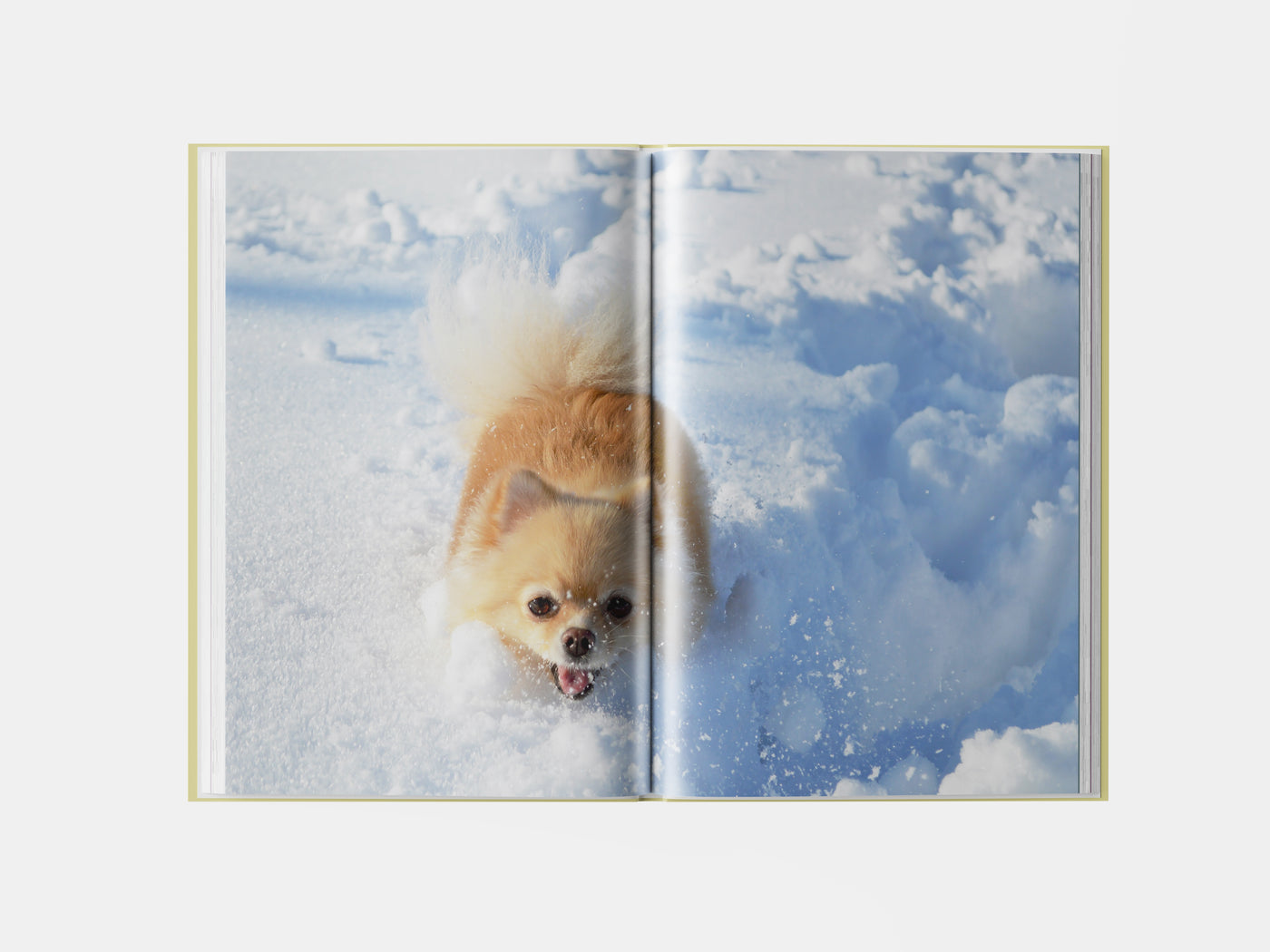 Book preview page 2