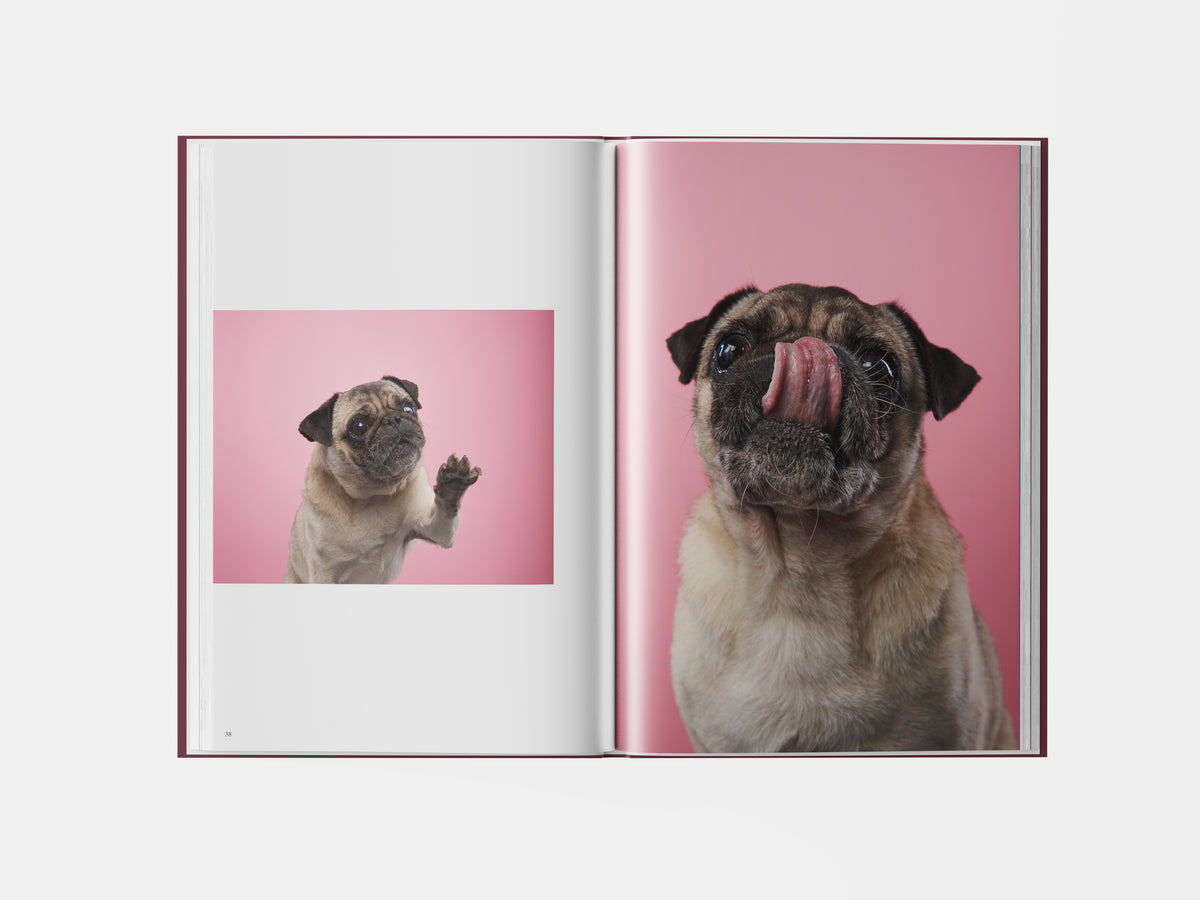 Book preview page 2