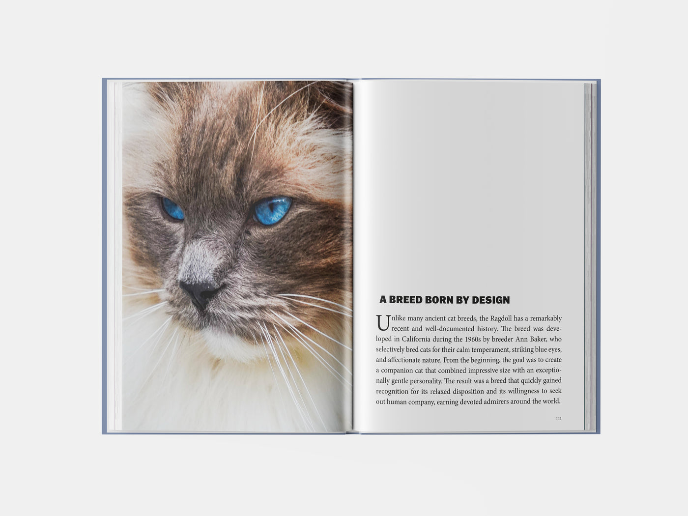 Book preview page 1