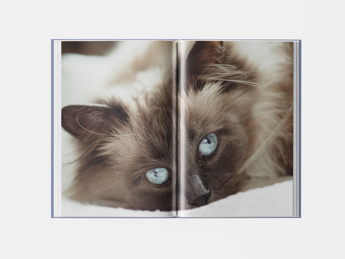 Book preview page 2