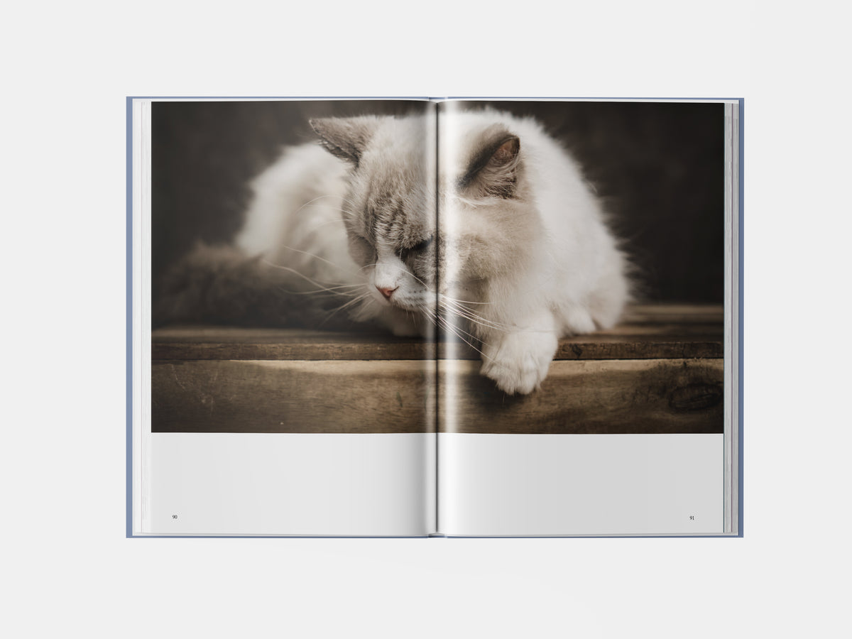 Book preview page 3