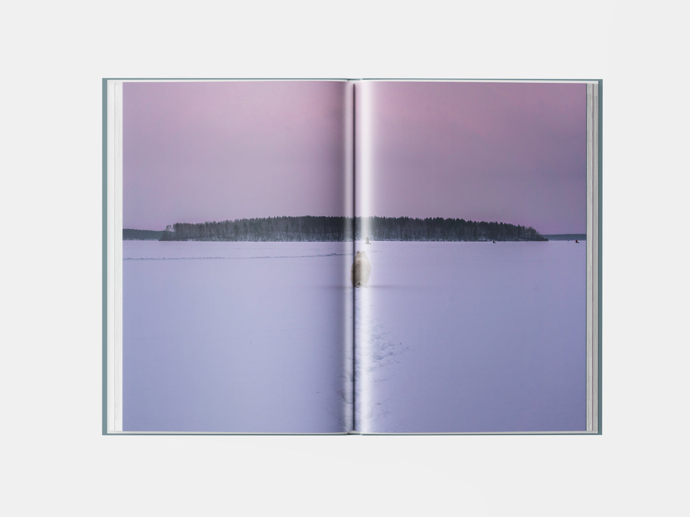 Book preview page 2