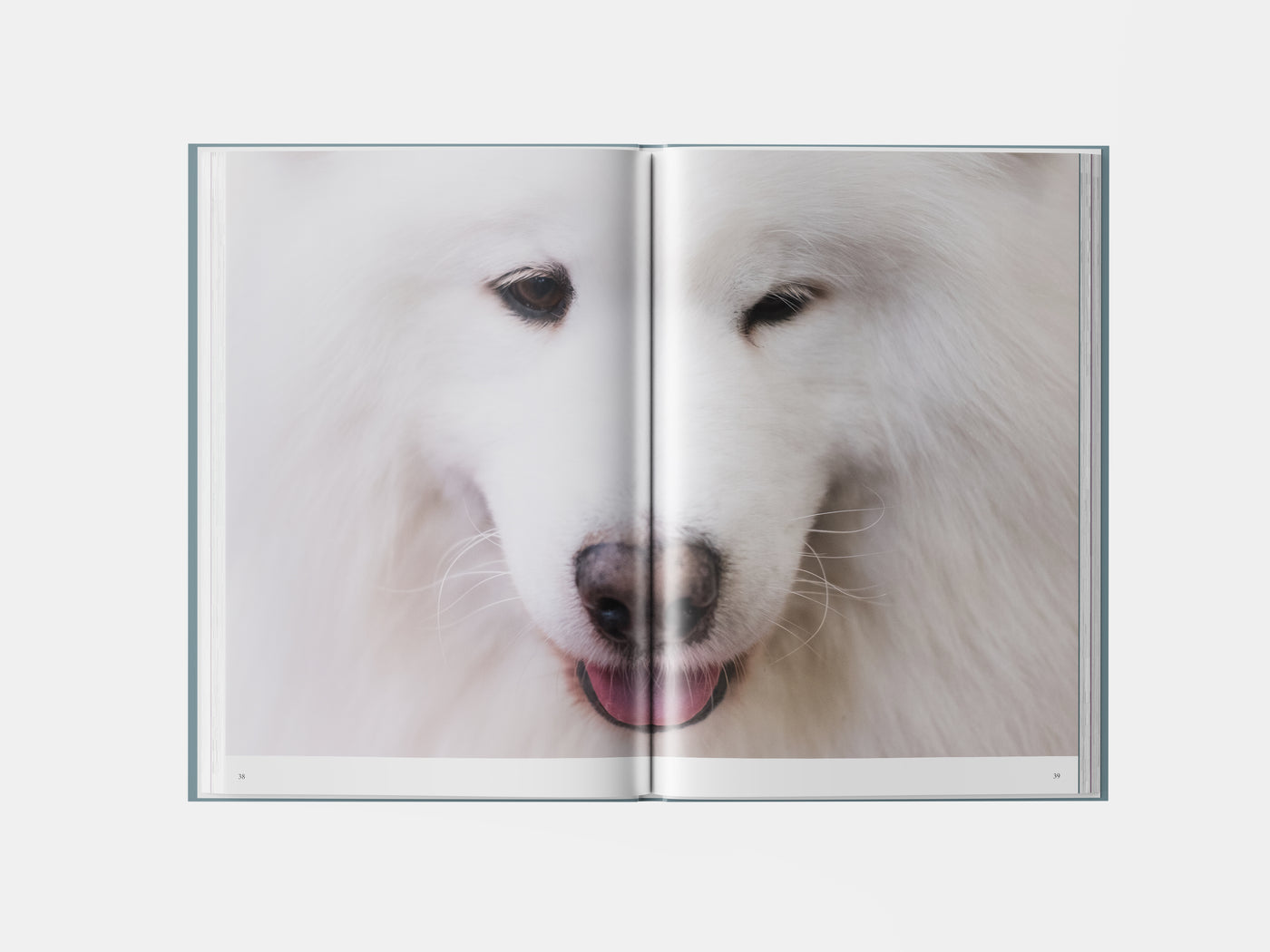 Book preview page 1