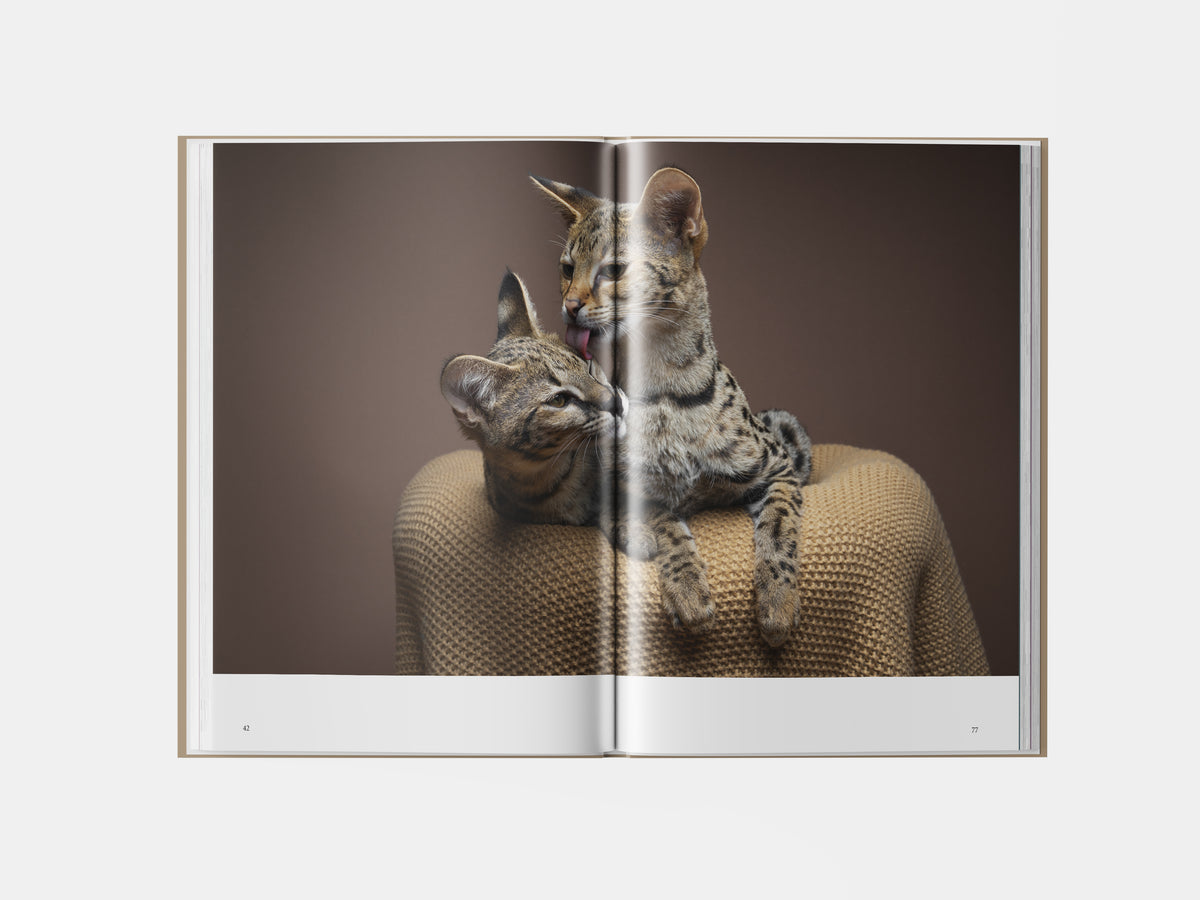 Book preview page 3