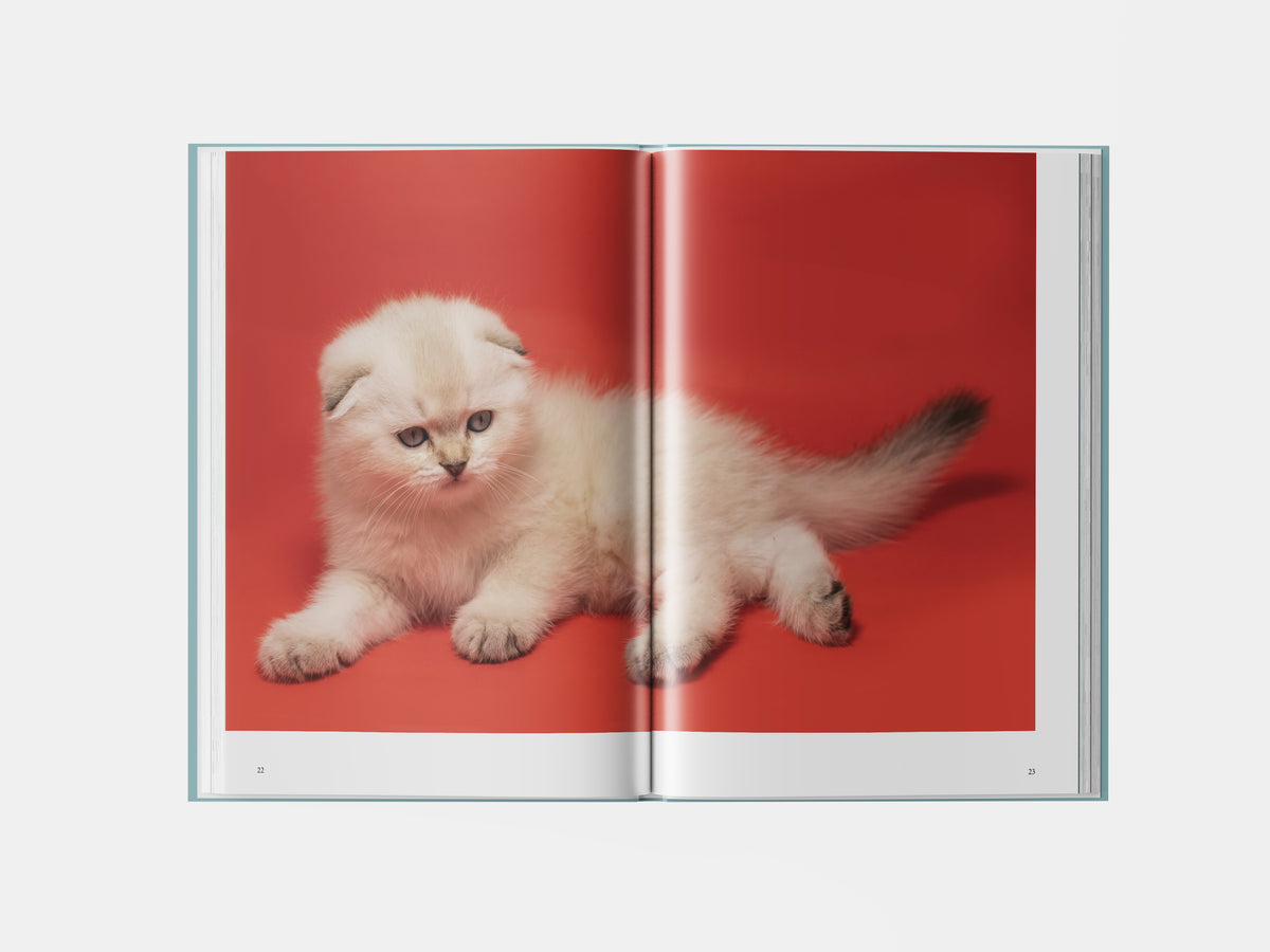 Book preview page 1
