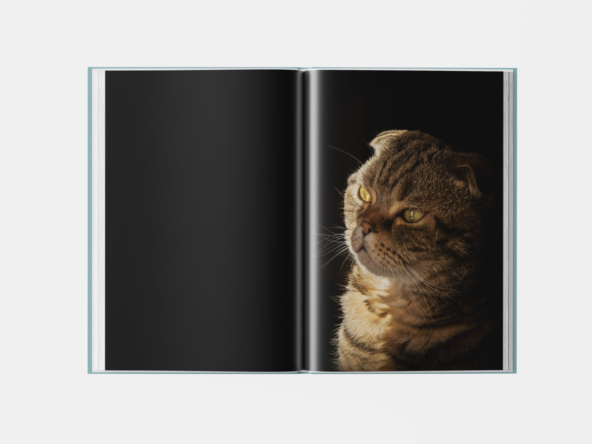 Book preview page 2