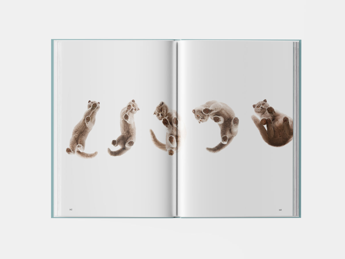Book preview page 3