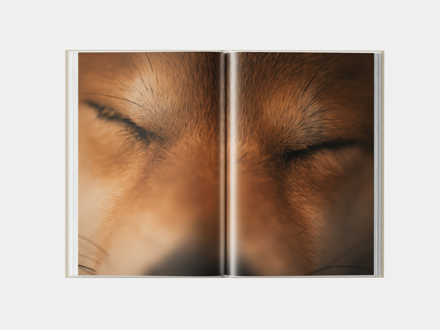 Book preview page 1