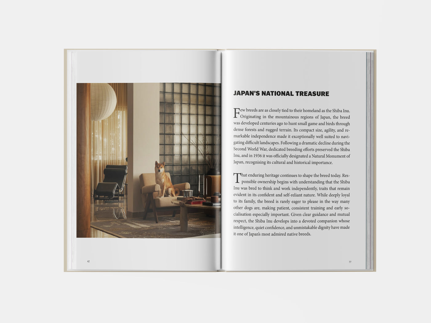 Book preview page 2