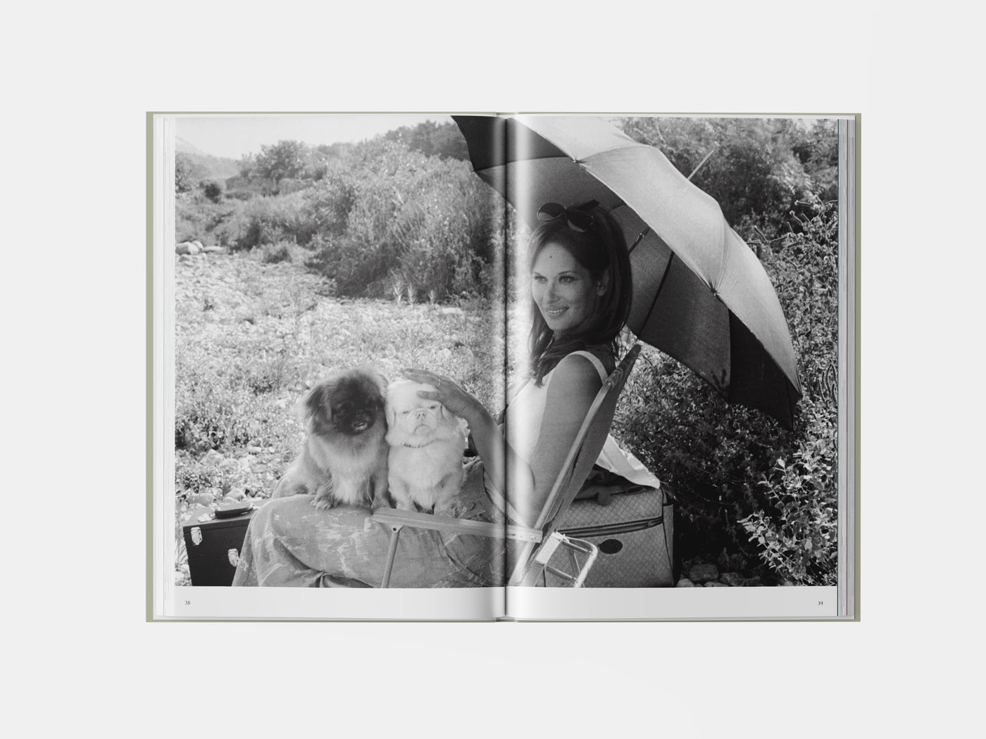 Book preview page 2