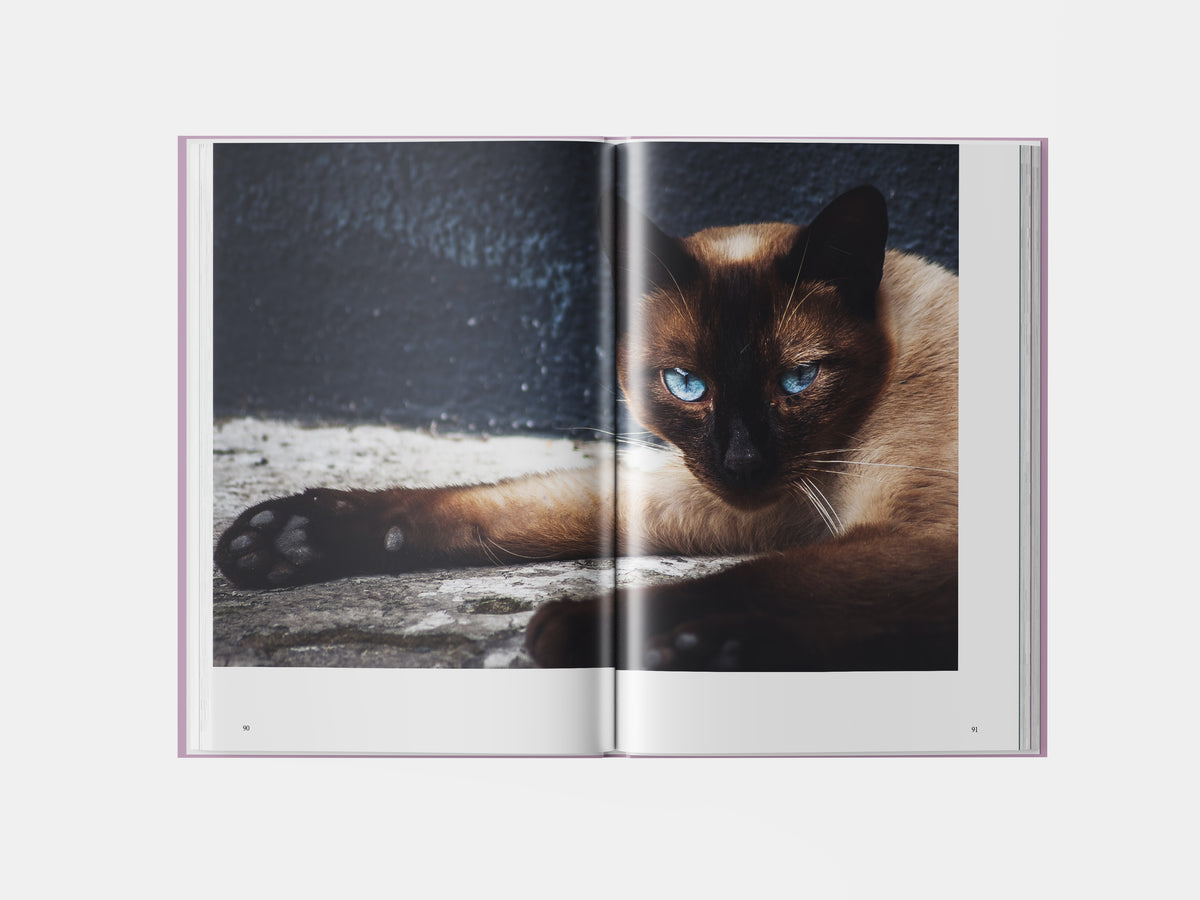 Book preview page 3