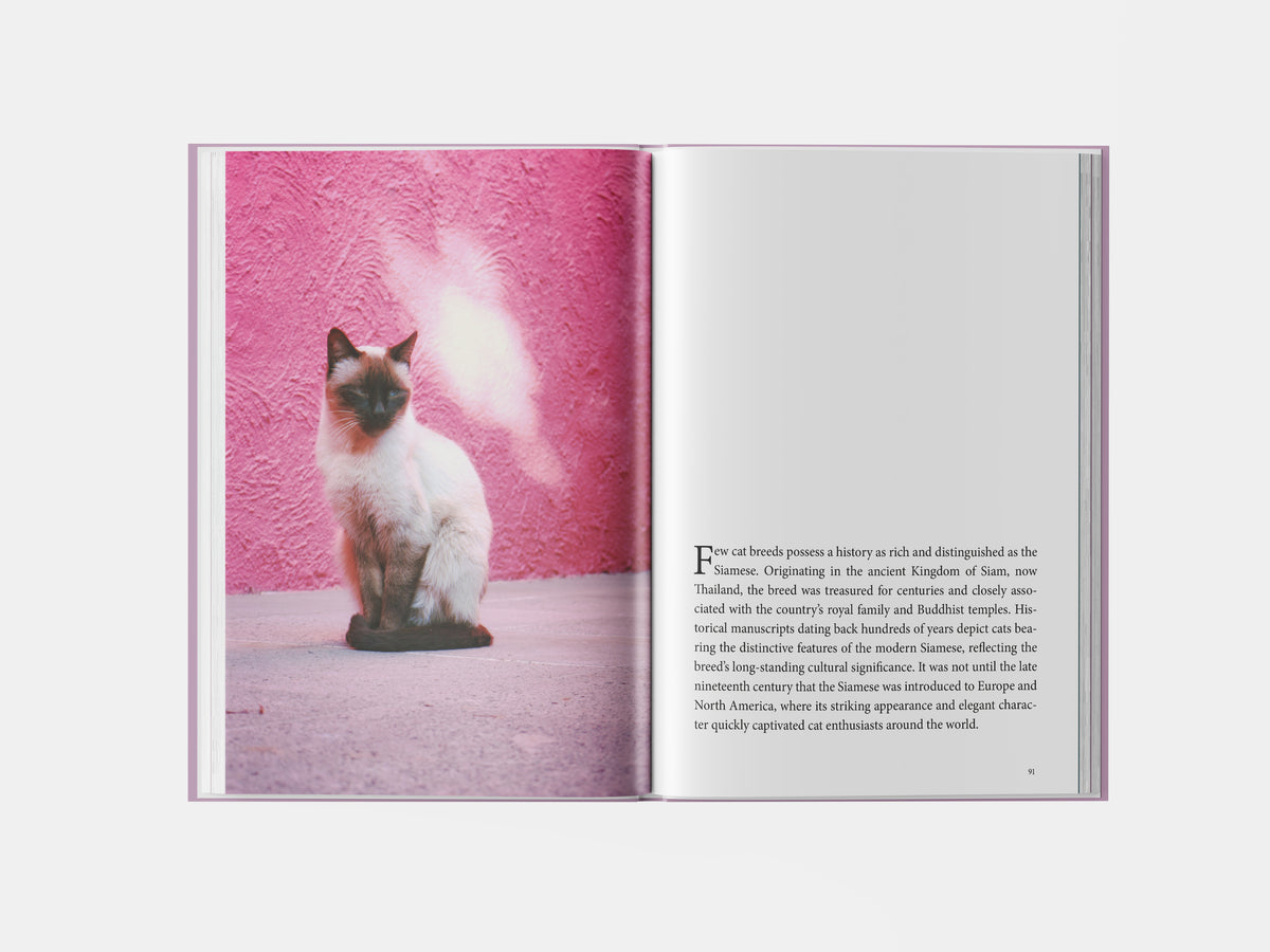 Book preview page 1