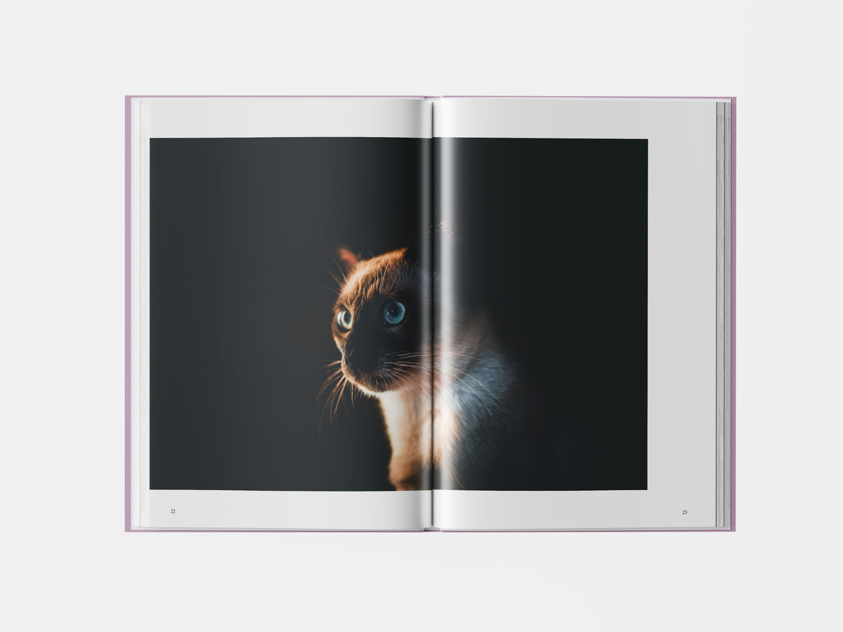 Book preview page 2