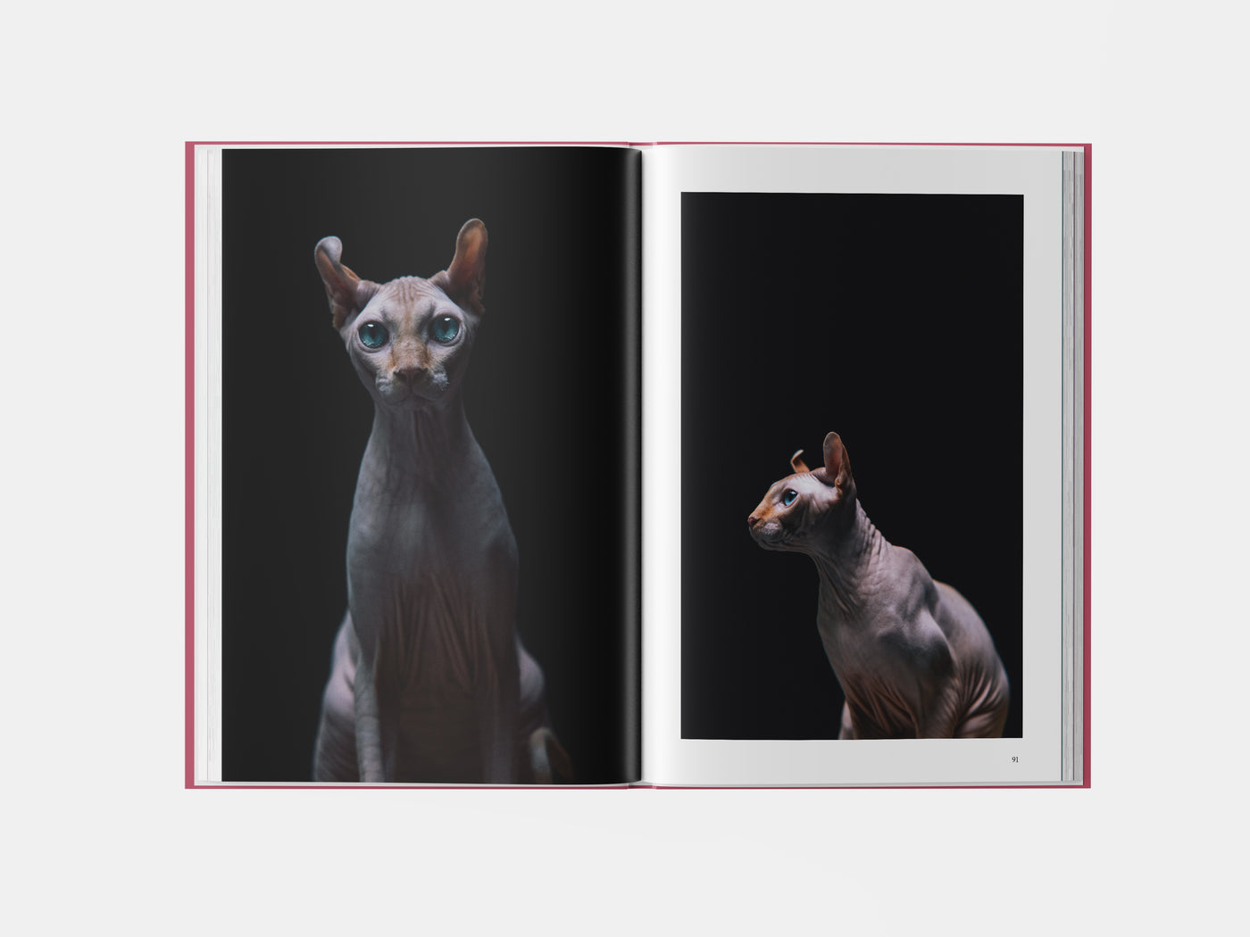 Book preview page 1