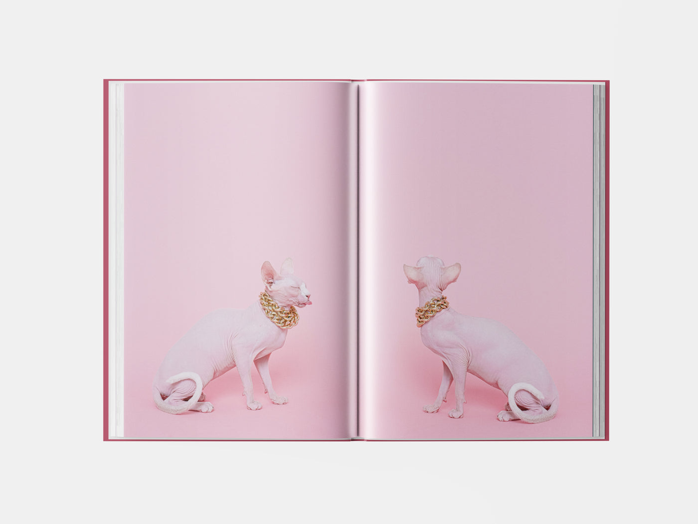 Book preview page 2