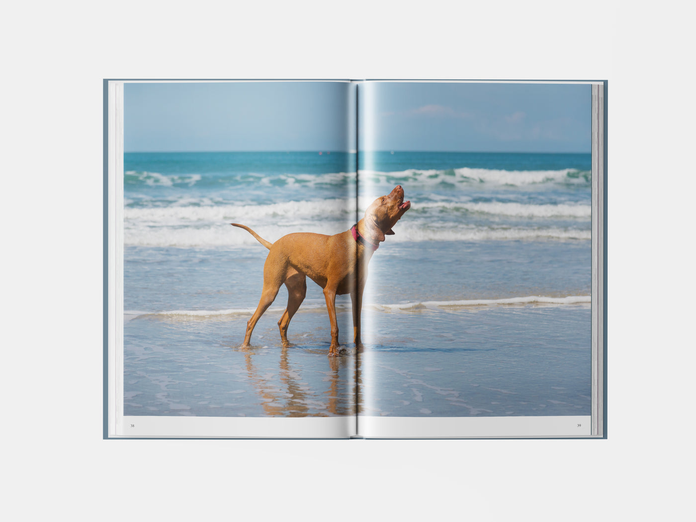 Book preview page 3