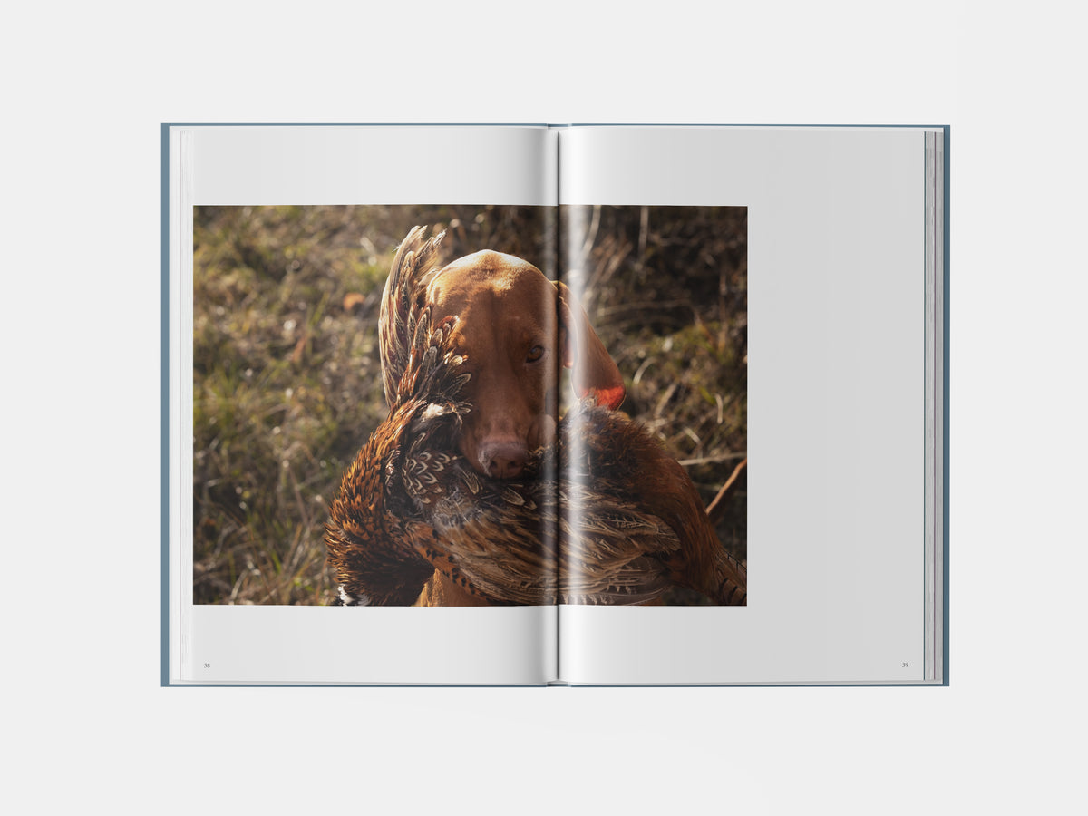 Book preview page 2