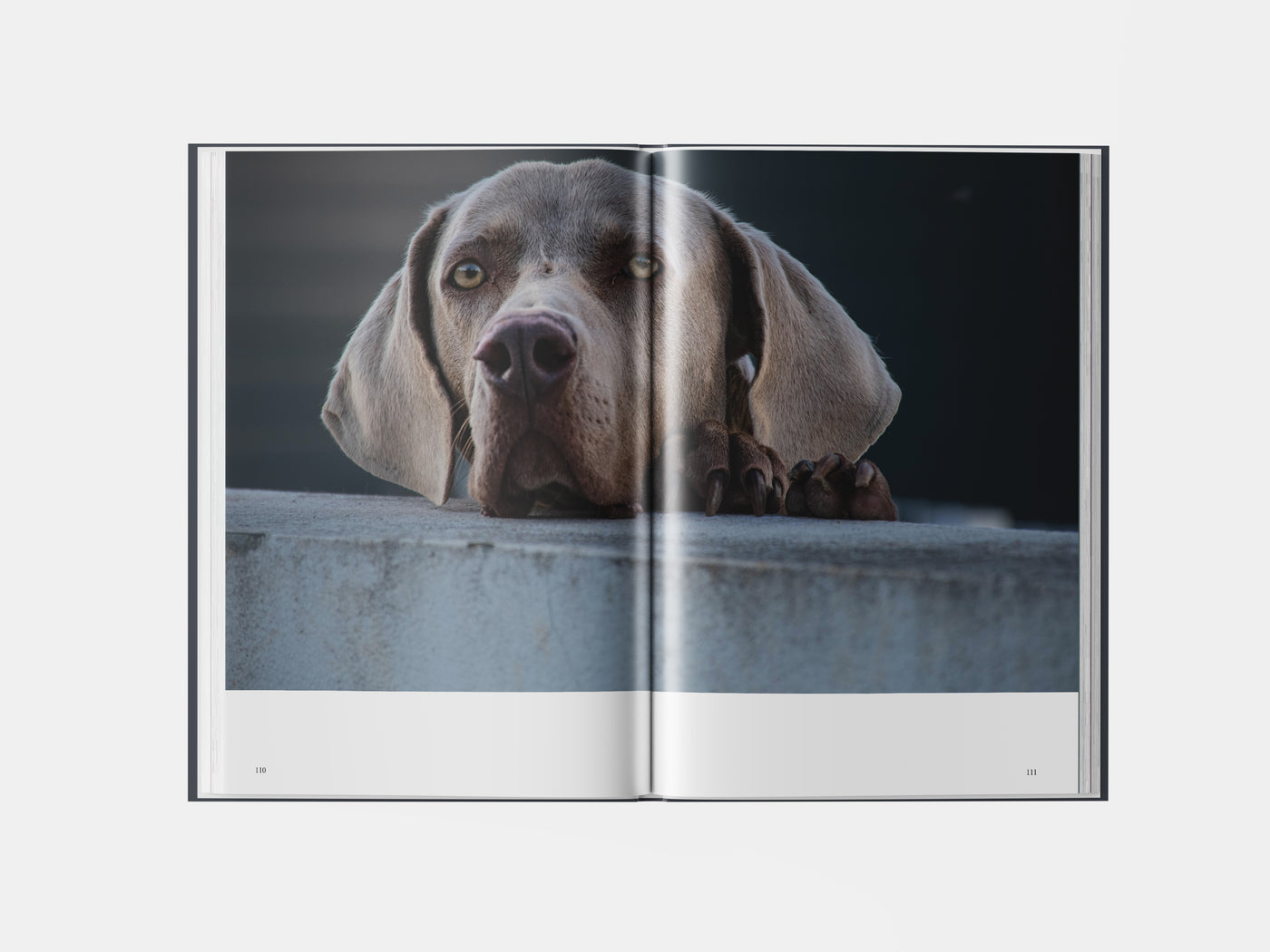 Book preview page 2
