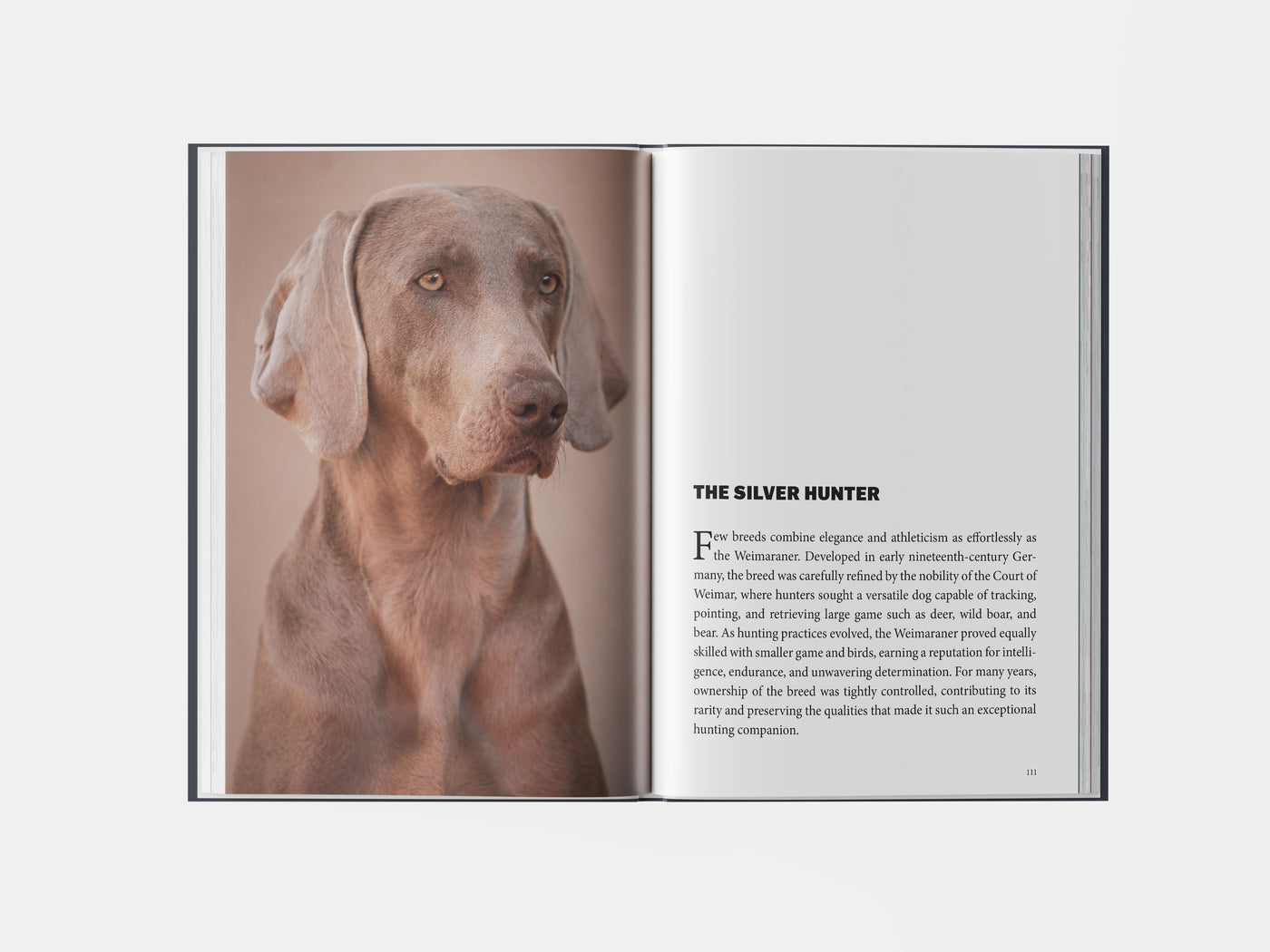 Book preview page 3