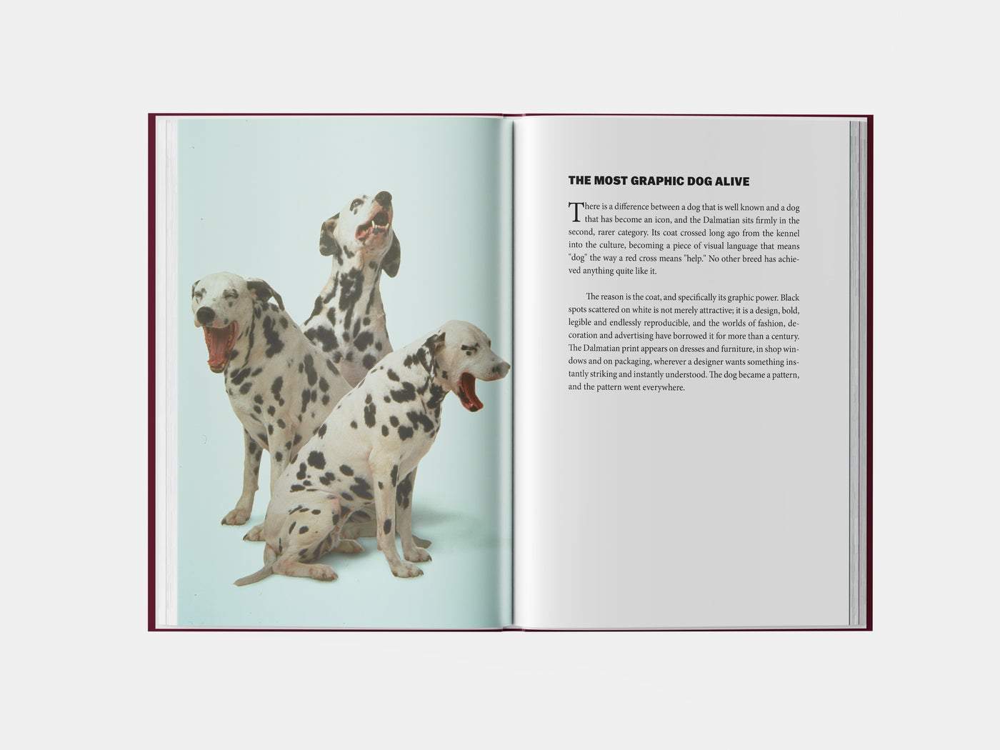 Book preview page 1